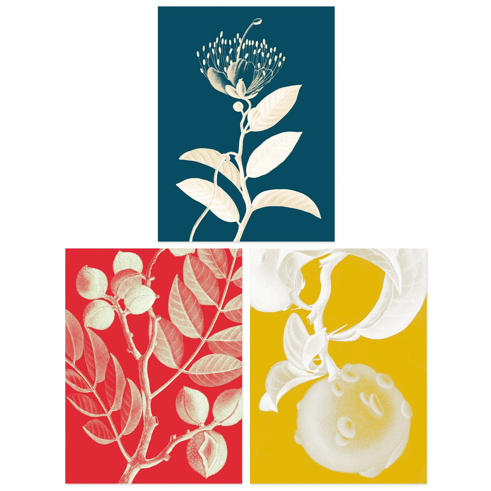 Wall Art Print Pack of 3 A4 Bold Bright Botanicals Plant Tree Branch Bloom Blue Red Yellow Living Room s Set