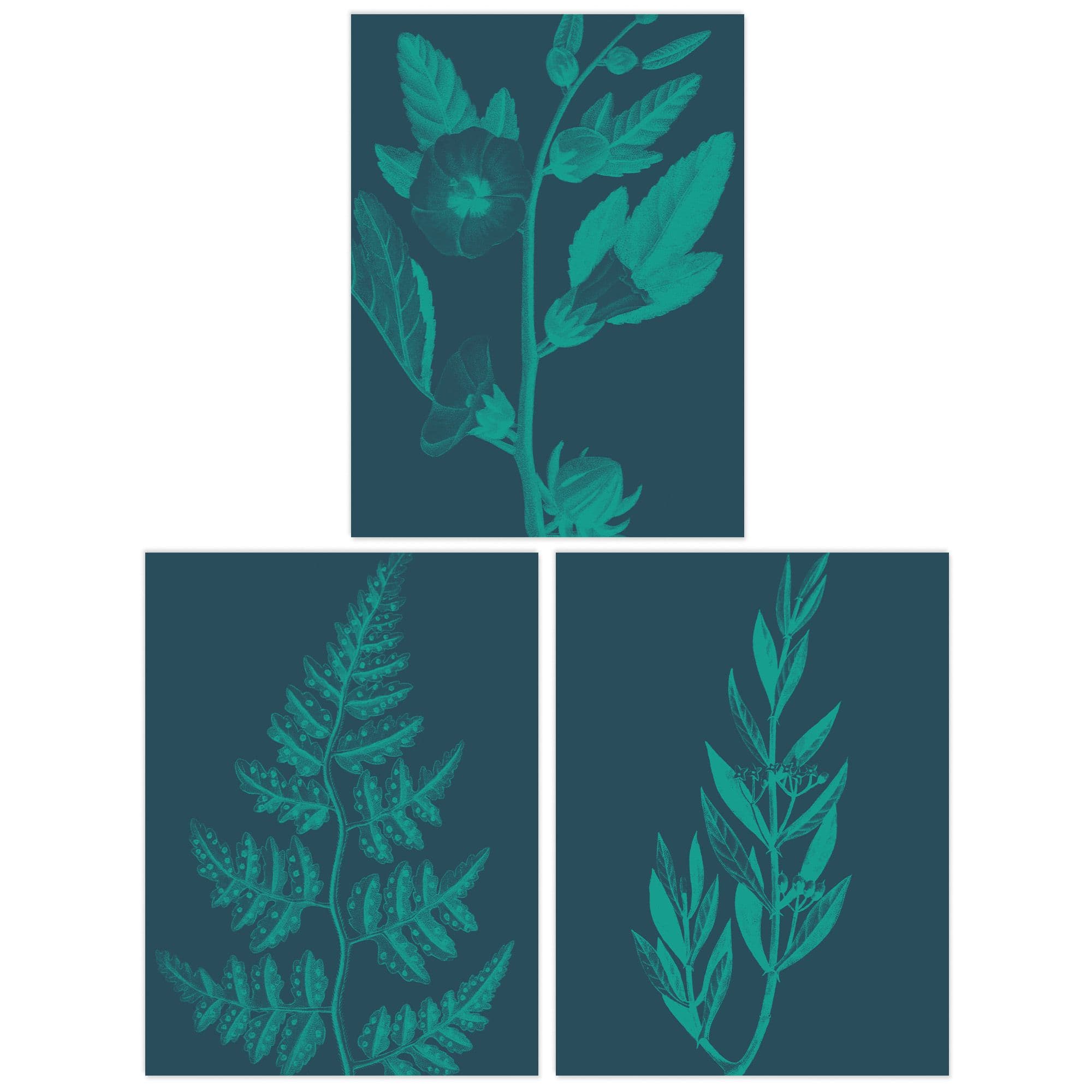 Wall Art Print Pack of 3 A4 Teal Turquoise Leaves Plant Frond and Tree Blooms Botanical Living Room s Set