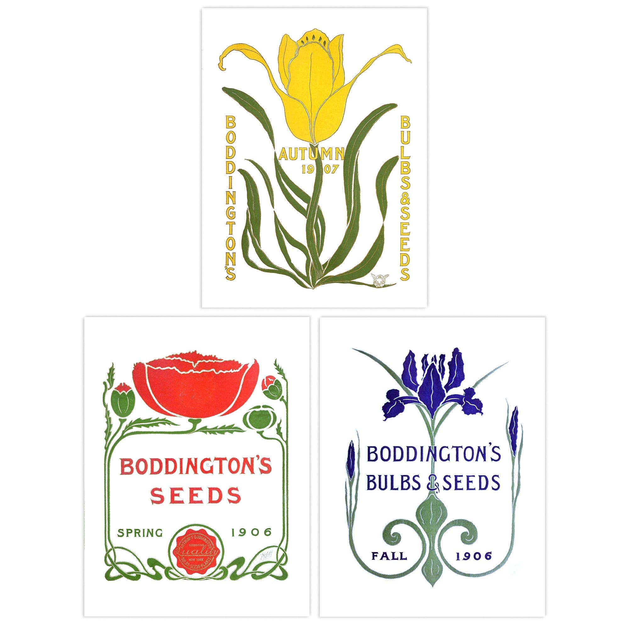Wall Art Print Pack 3 A4 Boddington Bulbs Seeds 1906 Yellow Autumn Red Spring Fall Vintage Ad Poster Living Room s Set
