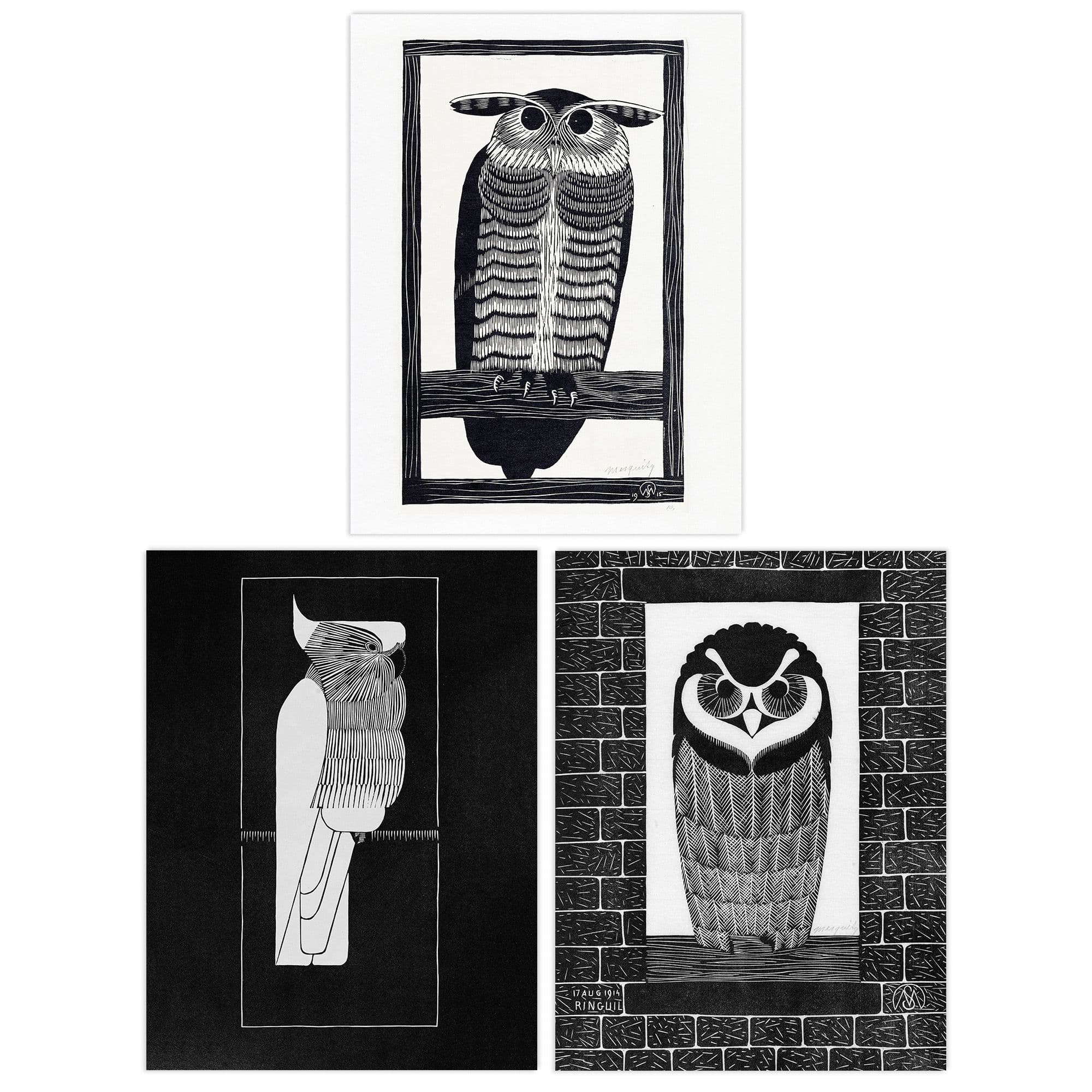 Wall Art Print Pack of 3 A4 Julie de Graag Black and White Graphic Linocut Owl and Parrot Vintage Bird Living Room s Set
