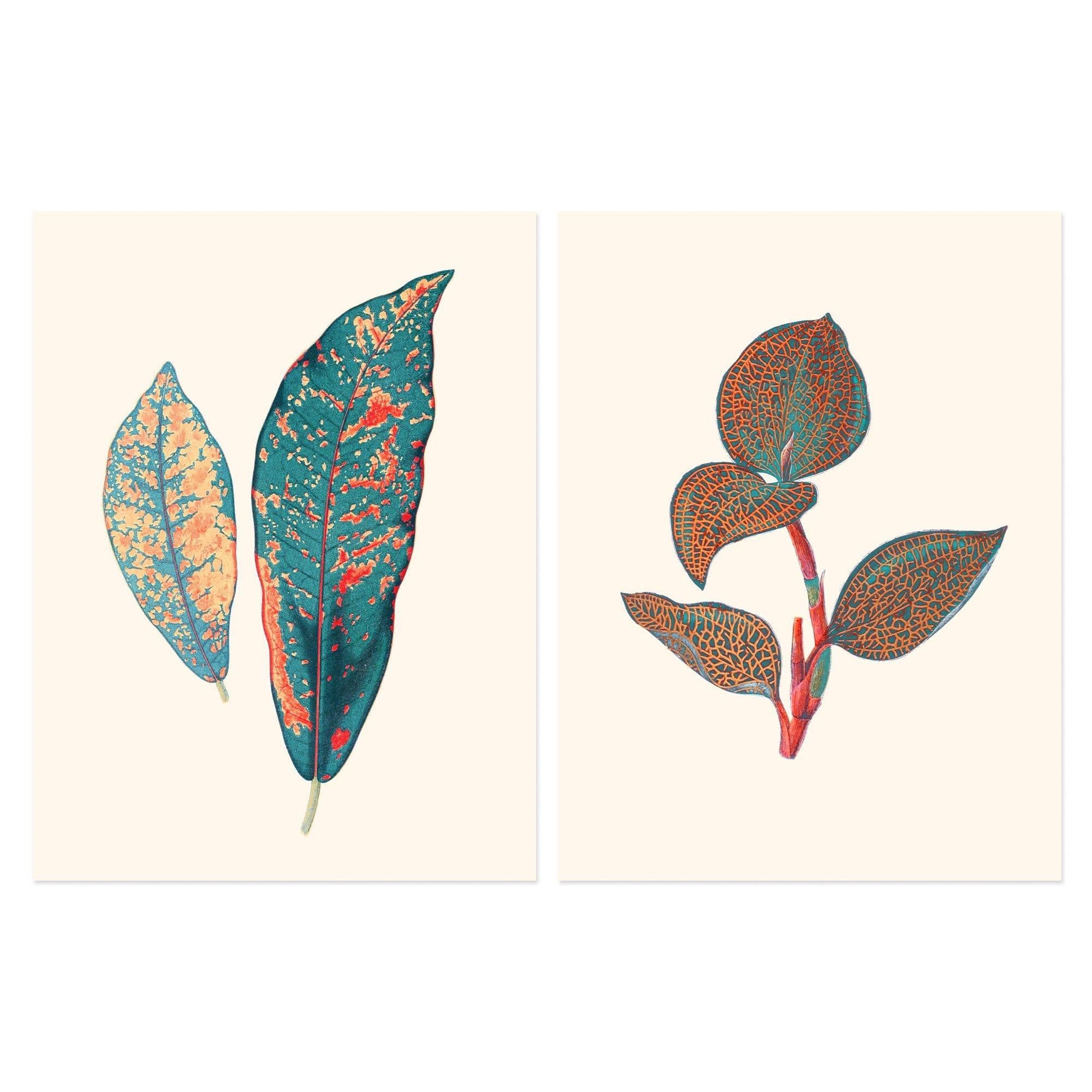 Pack 2 Vintage Botanical Fauna Coral Pink Teal Detailed Plant Leaves Unframed Wall Art Living Room Prints Set