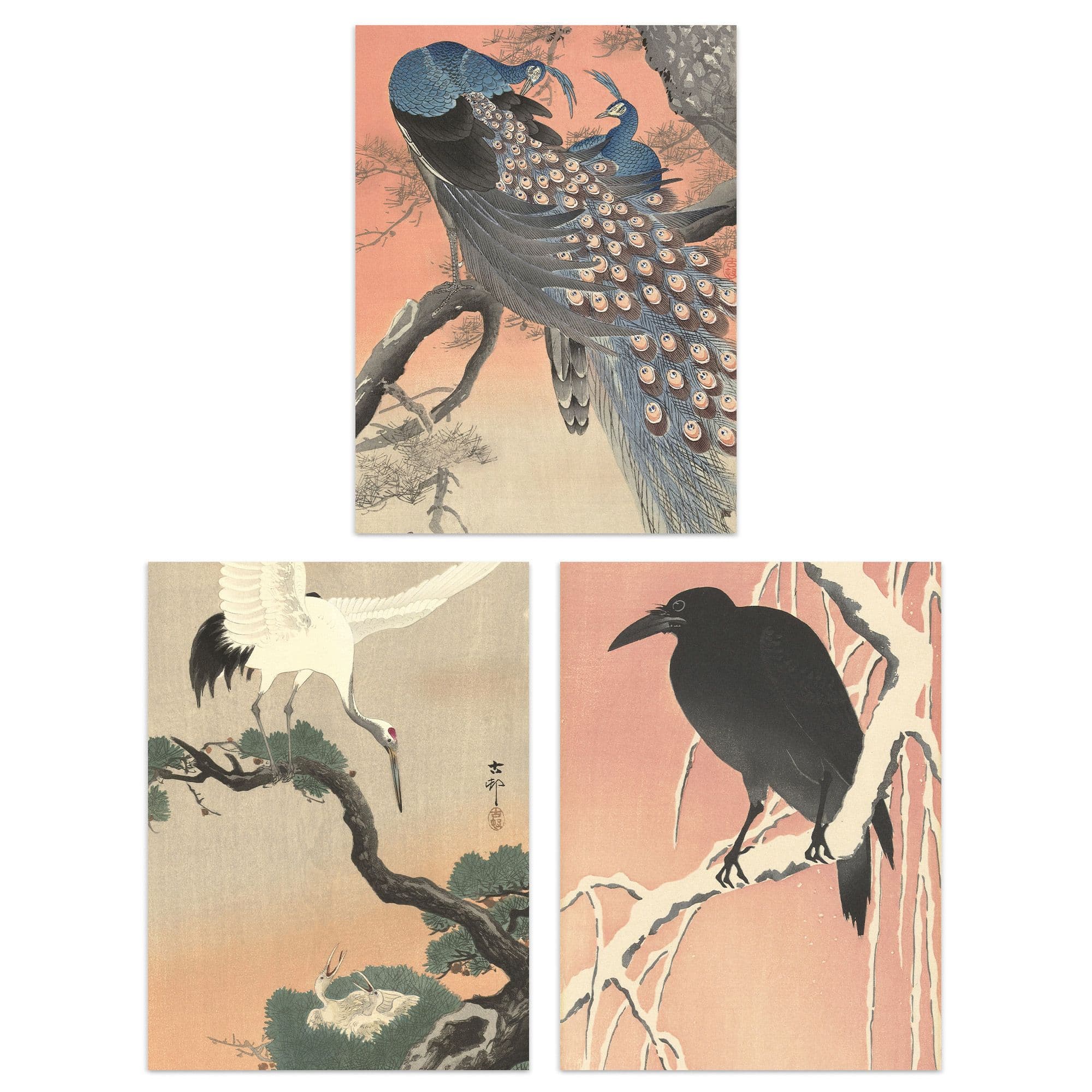 Wall Art Print Pack 3 A4 Ohara Koson Japan Kachō e Bird Flower Crow Crane Peacock Japanese Paintings Living Room s Set