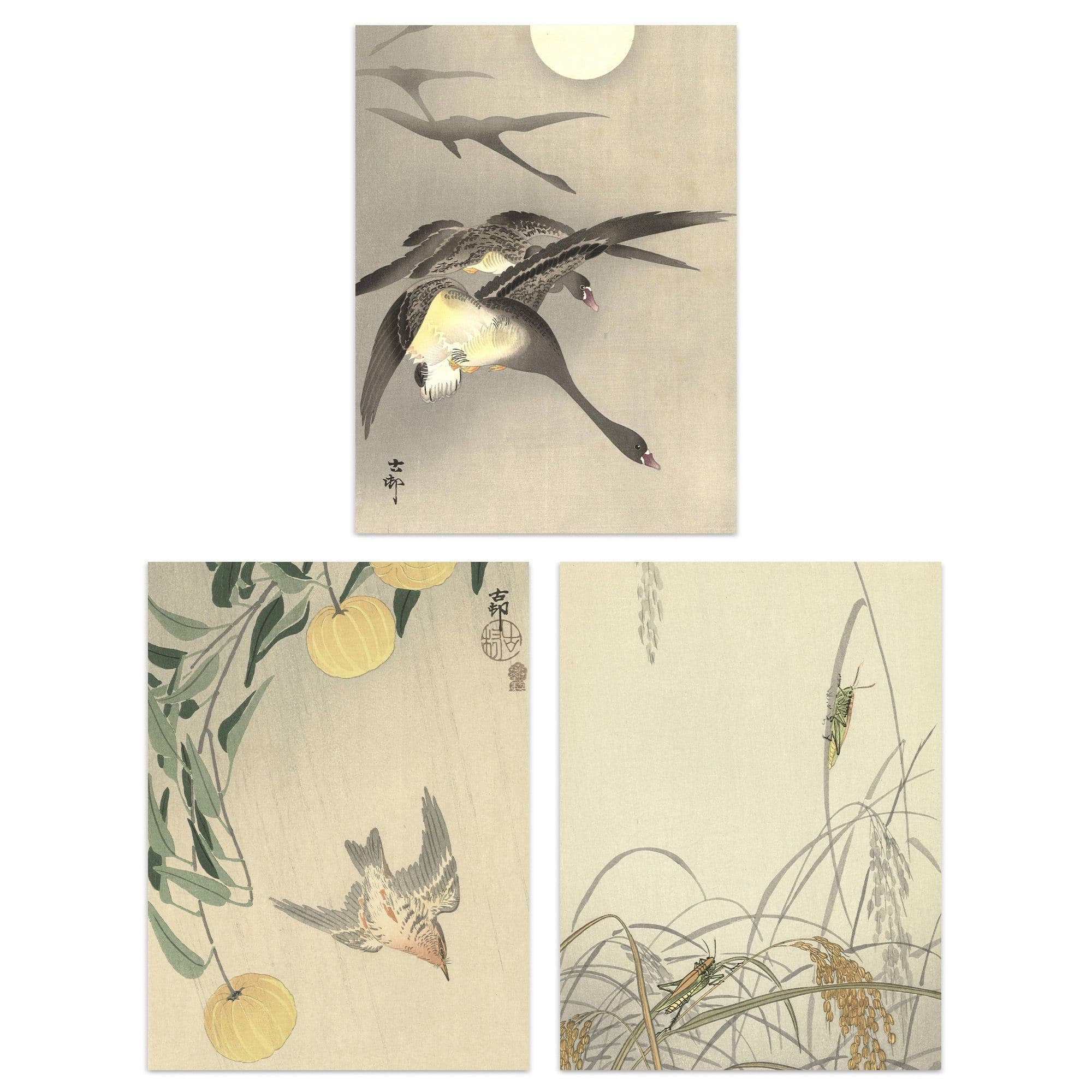 Wall Art Print Pack of 3 A4 Ohara Koson Japan Kachō-e Bird and Flower Cuckoo Geese Grasshoppers Japanese Paintings Living Room s Set