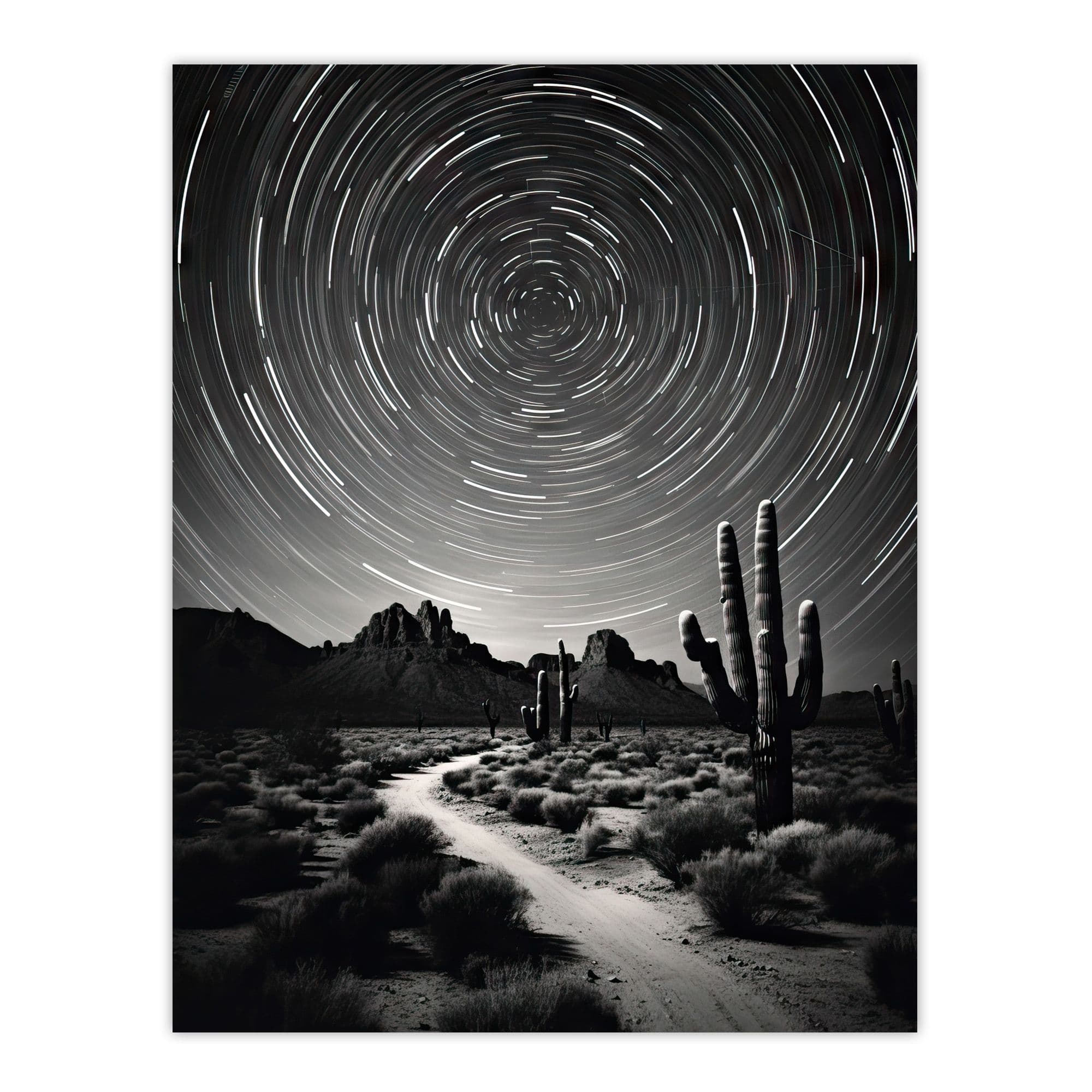 Moon And Star Time Lapse Trails Stars Tracing Their Journey Across The Sky Desert Cactus Large Wall Unframed Art Poster Print Thick Paper 18X24 Inch