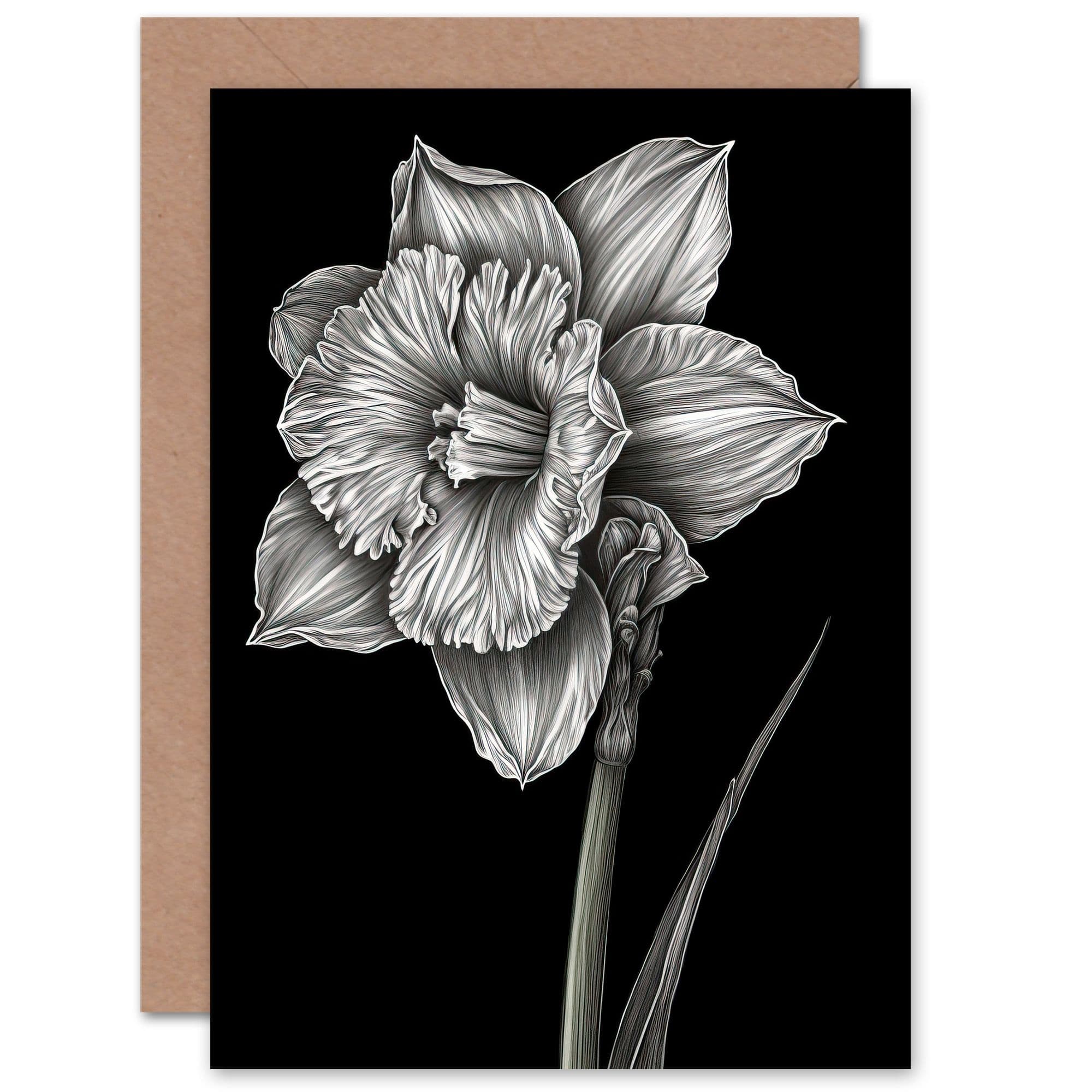Daffodil Flower Black White Birthday Get Well Soon Greeting Card