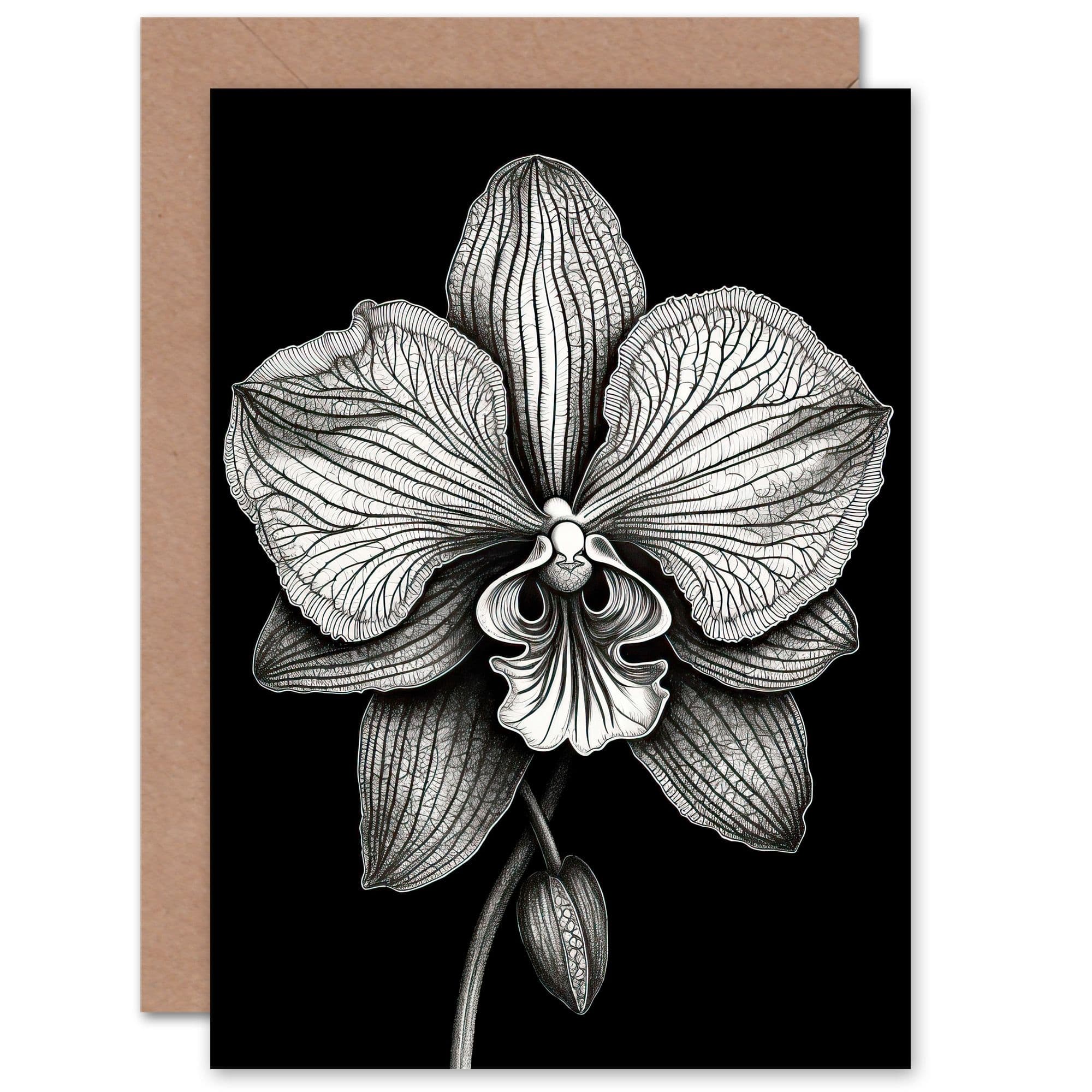 Detailed Orchid Flower Petals Birthday Get Well Soon Greeting Card