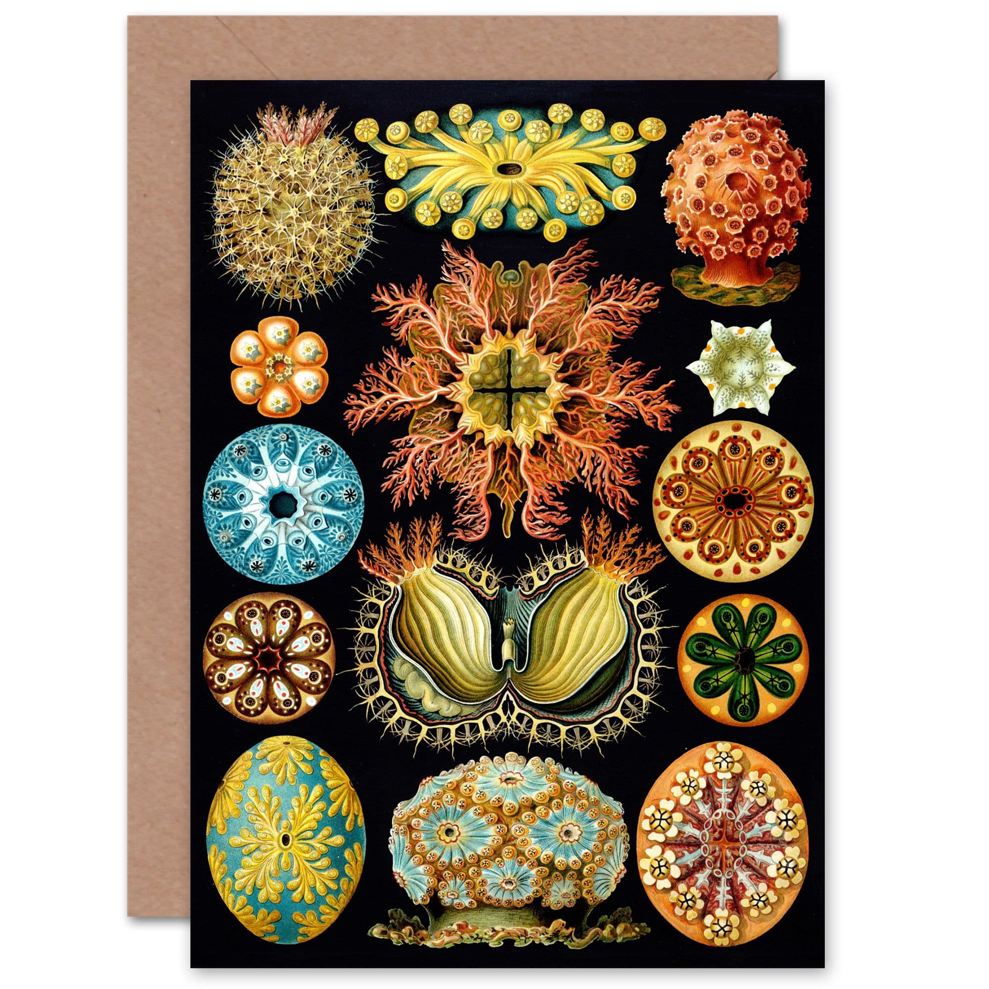 Bright Botanical Marine Vintage Retro for All Occasions Greeting Card