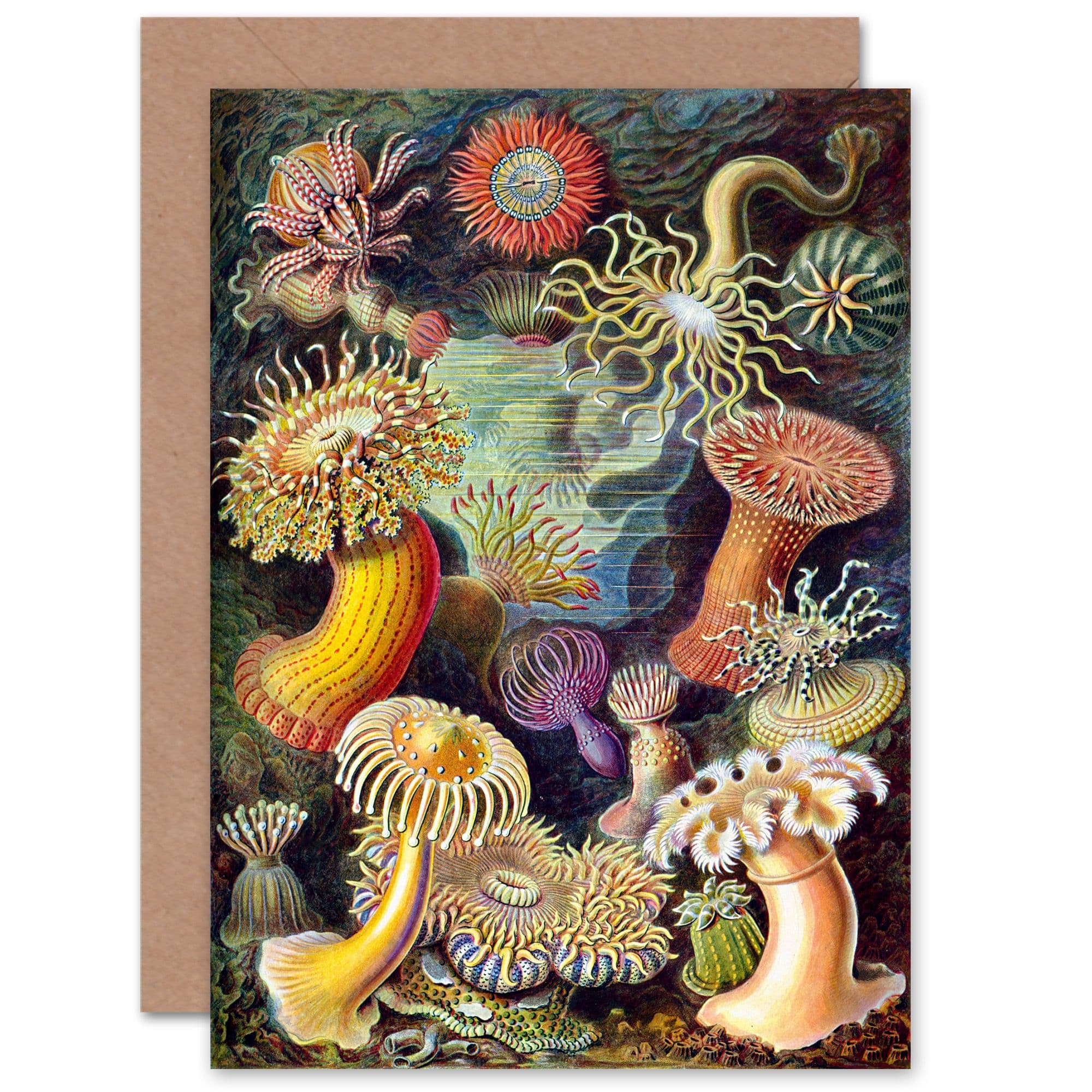 Scuba Diving Seabed Scene for Him or Her for All Occasions Greeting Card
