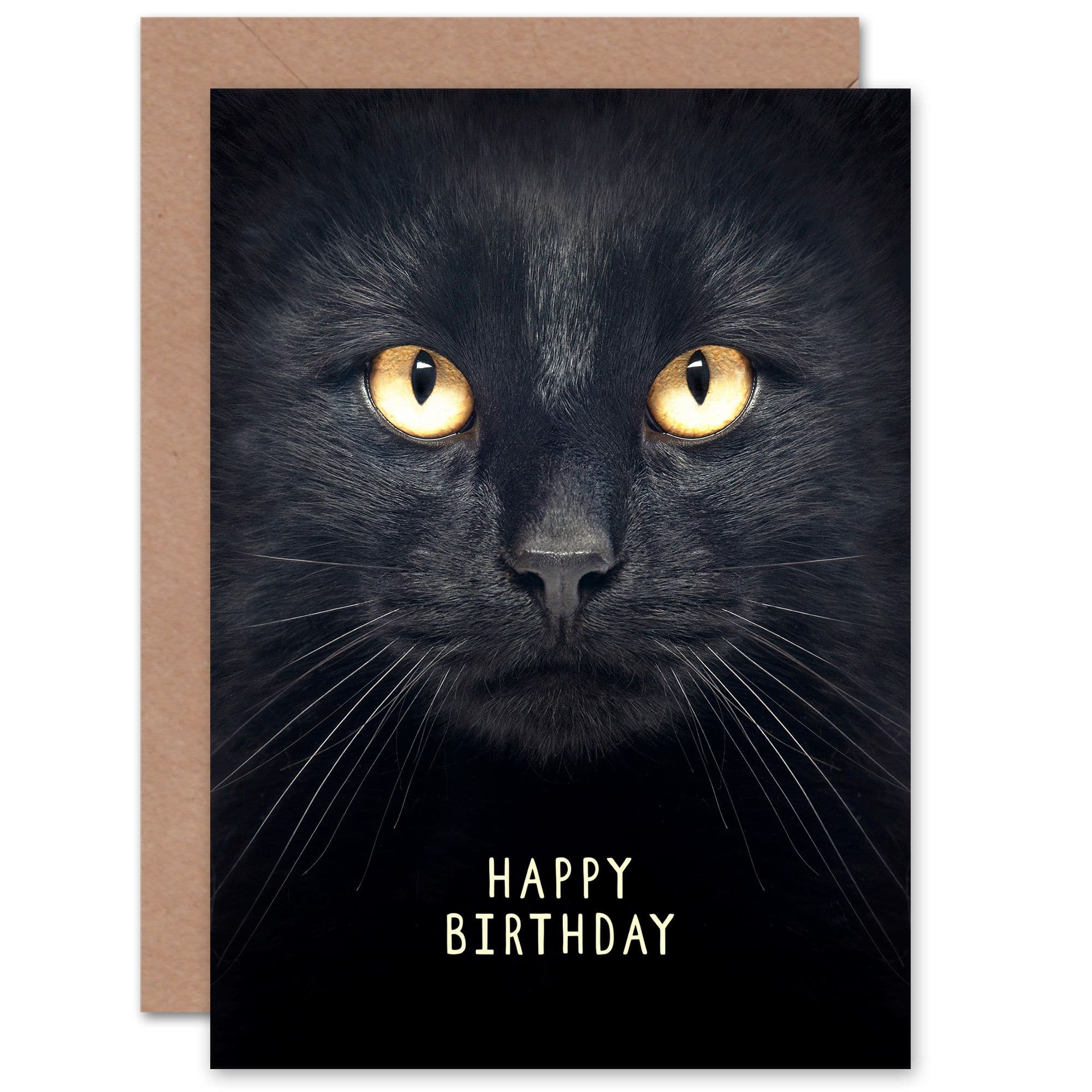Birthday Black Cat Lover For Him Her Greeting Card