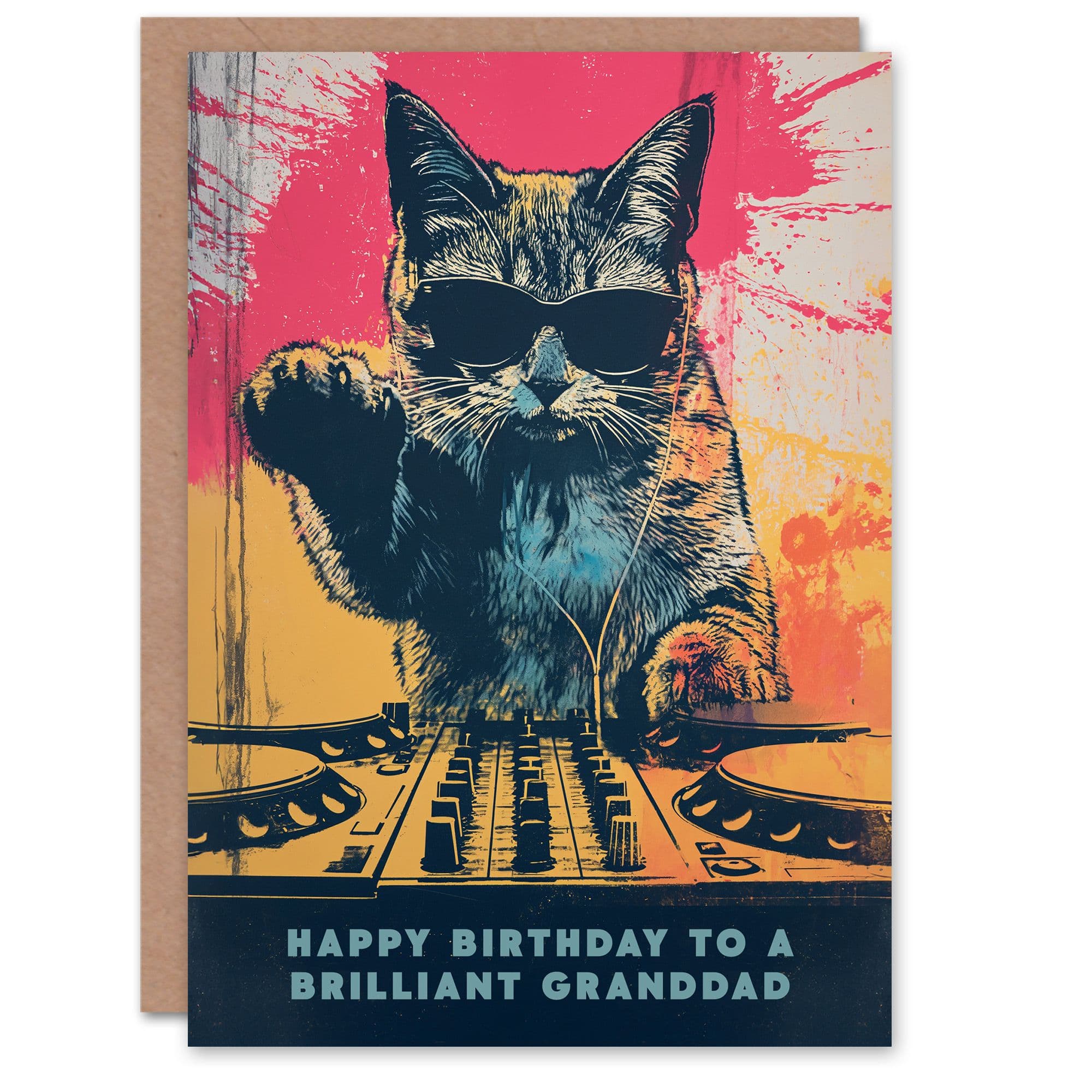 Happy Birthday Card to Brilliant Granddad Grunge DJ Cat Lover Vinyl Decks Records Music