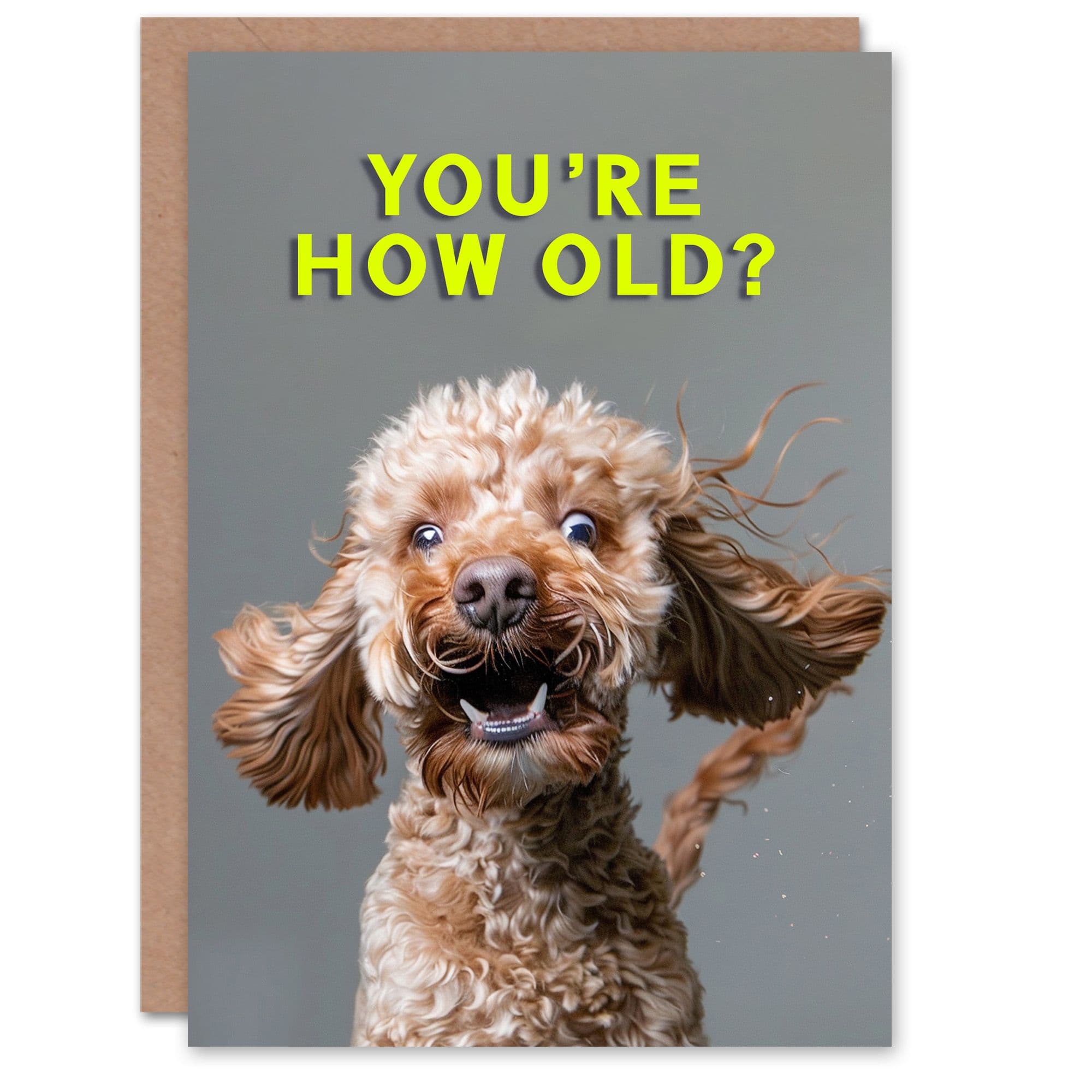Birthday Card Shocked Cockapoo How Old Joke Cockapoo Him Dad Brother Son Papa Grandad Greeting Card