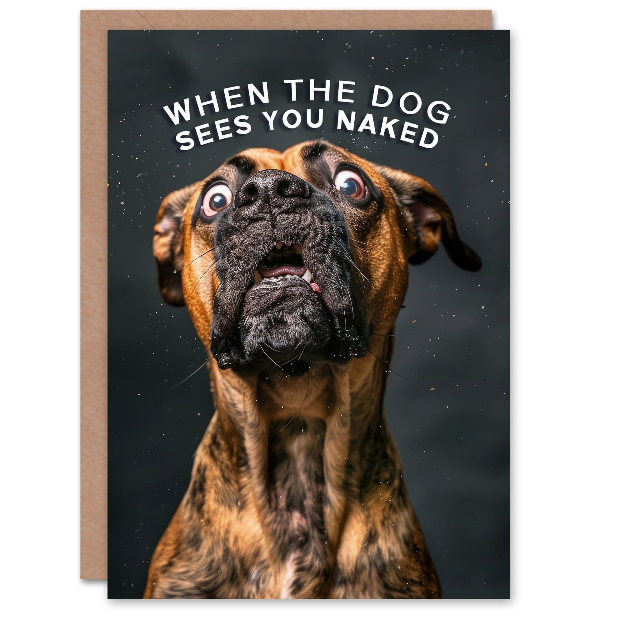 Artery8 Birthday Card Shocked Dog Photo Funny Joke Animal Arty Art All Occasion Greeting Card