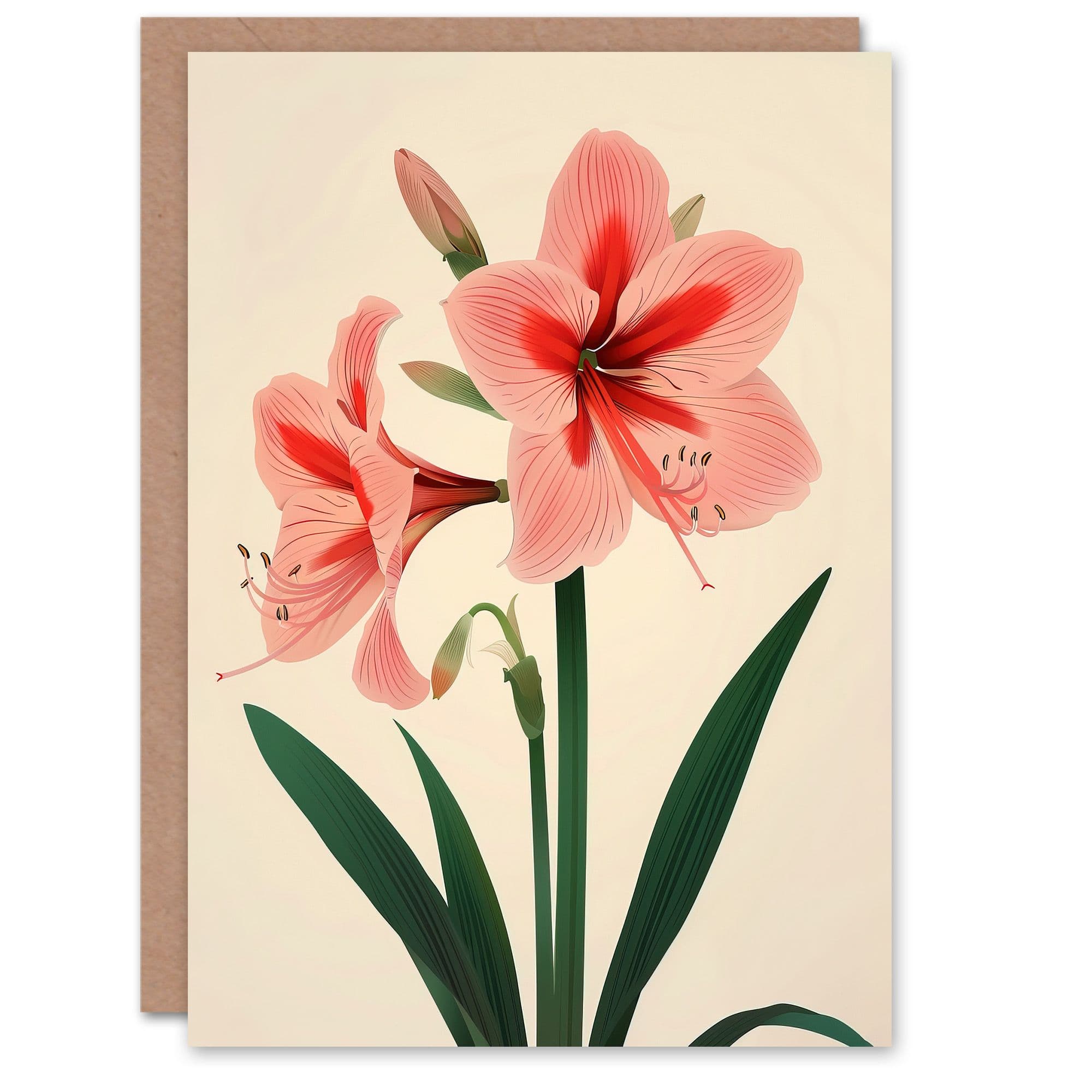 Amaryllis Flower Bloom Stylised Botanical Design Greeting Card