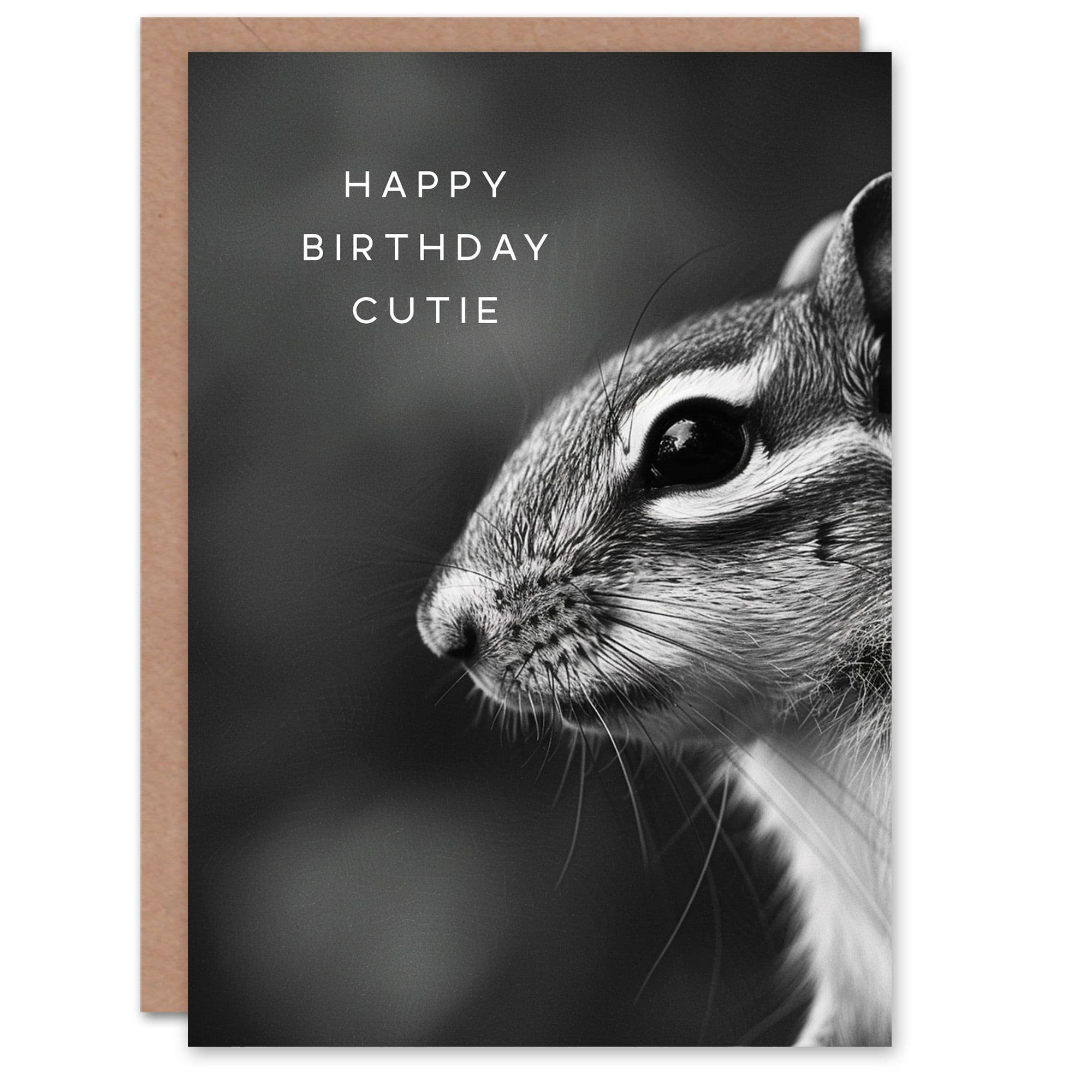 Birthday Card Cutie Chipmunk Photo Animal Lover Black White Woodland