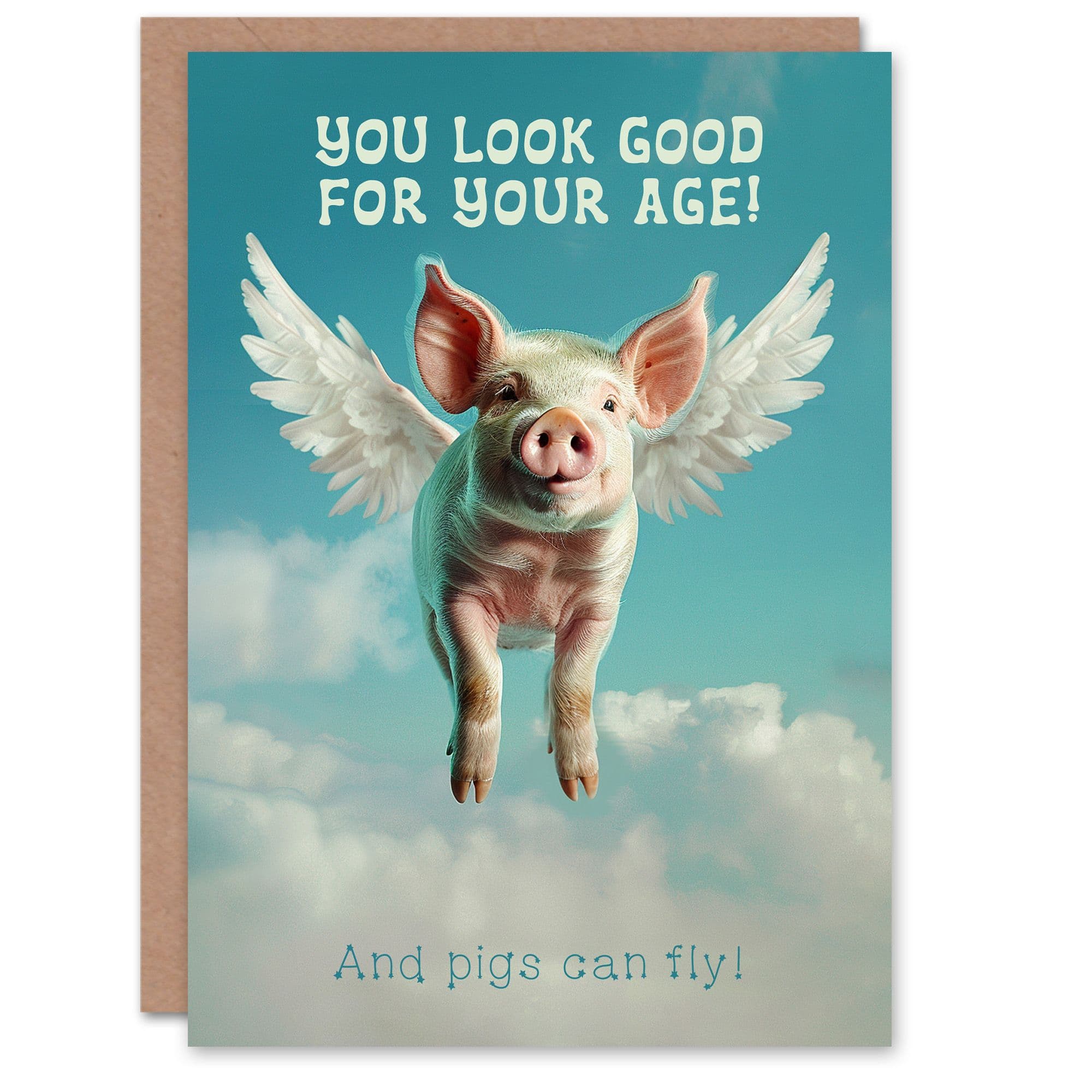 Birthday Card Flying Pig Funny Cheeky Joke Look Good Cute Him Her