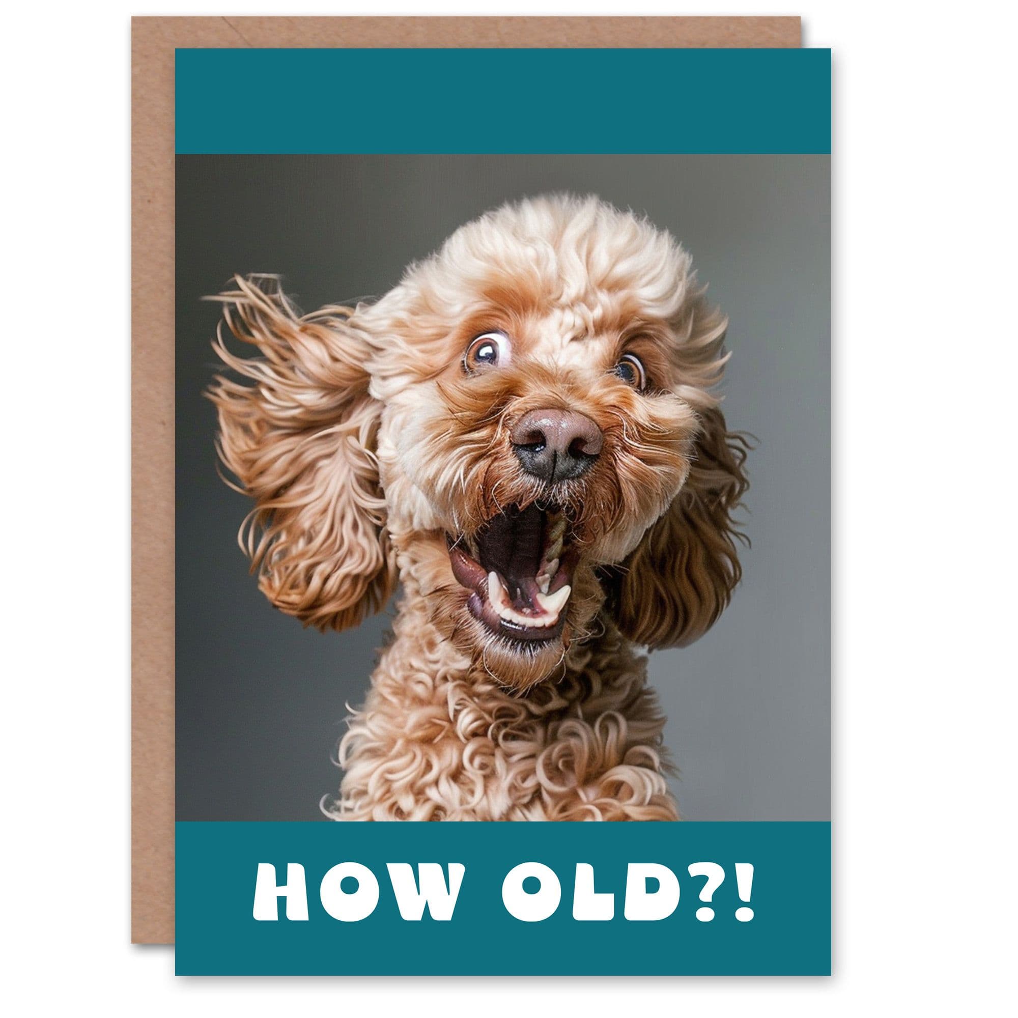 Birthday Card Surprised Cockapoo Dog Photo How Old Funny Joke Cheeky