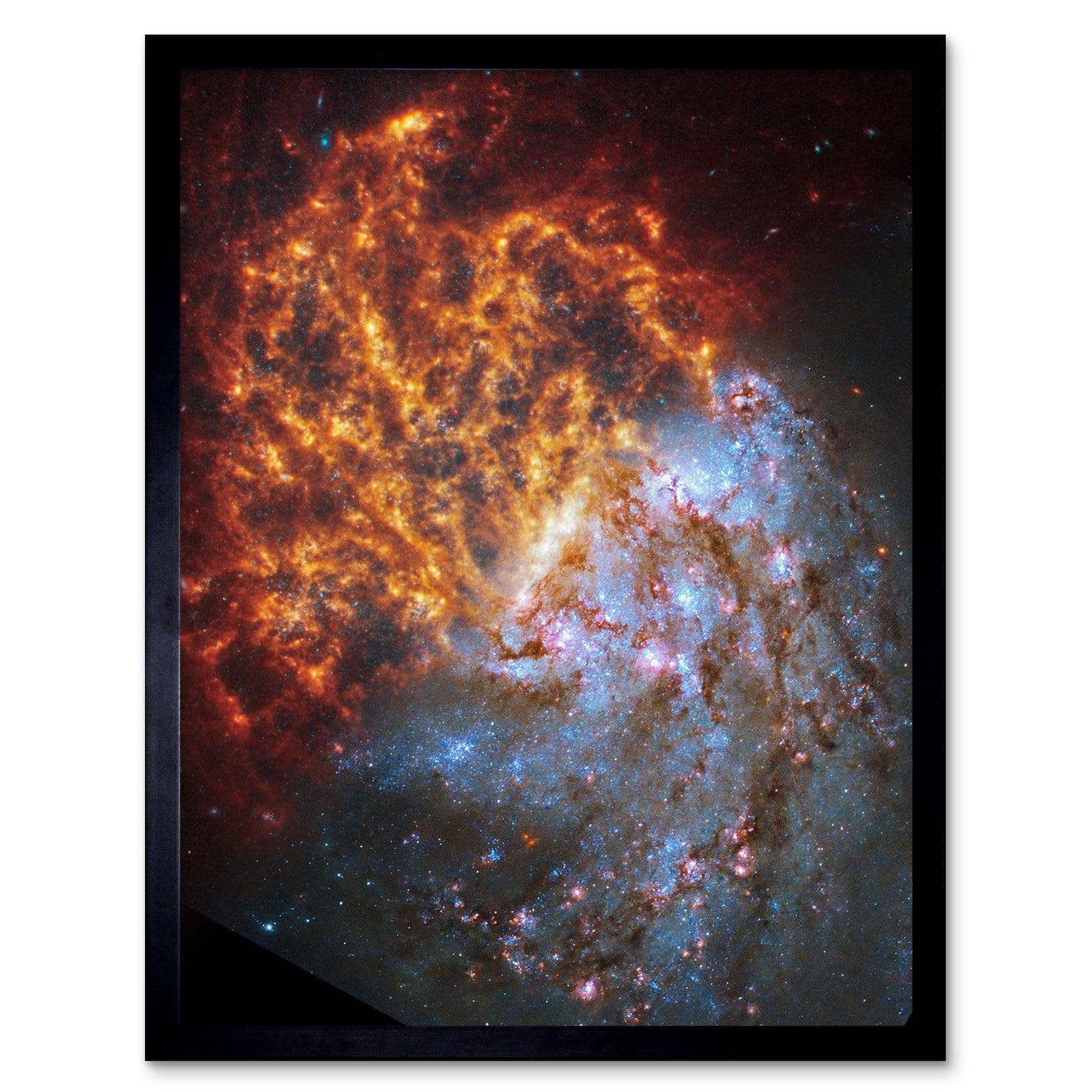 NASA Hubble James Webb Telescope Spiral Galaxy NGC 1087 Framed Art