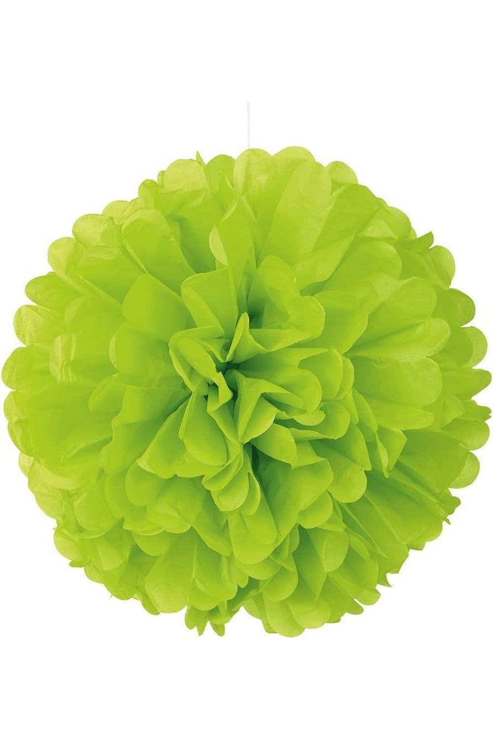 Tissue Paper Pom Pom Hanging Decoration