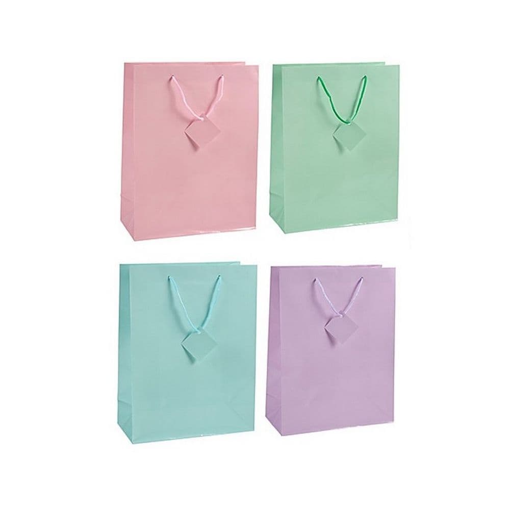 Plain Paper Gift Bag