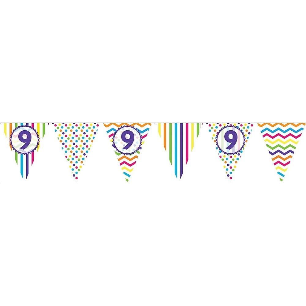 Paper Pennant 9th Birthday Banner