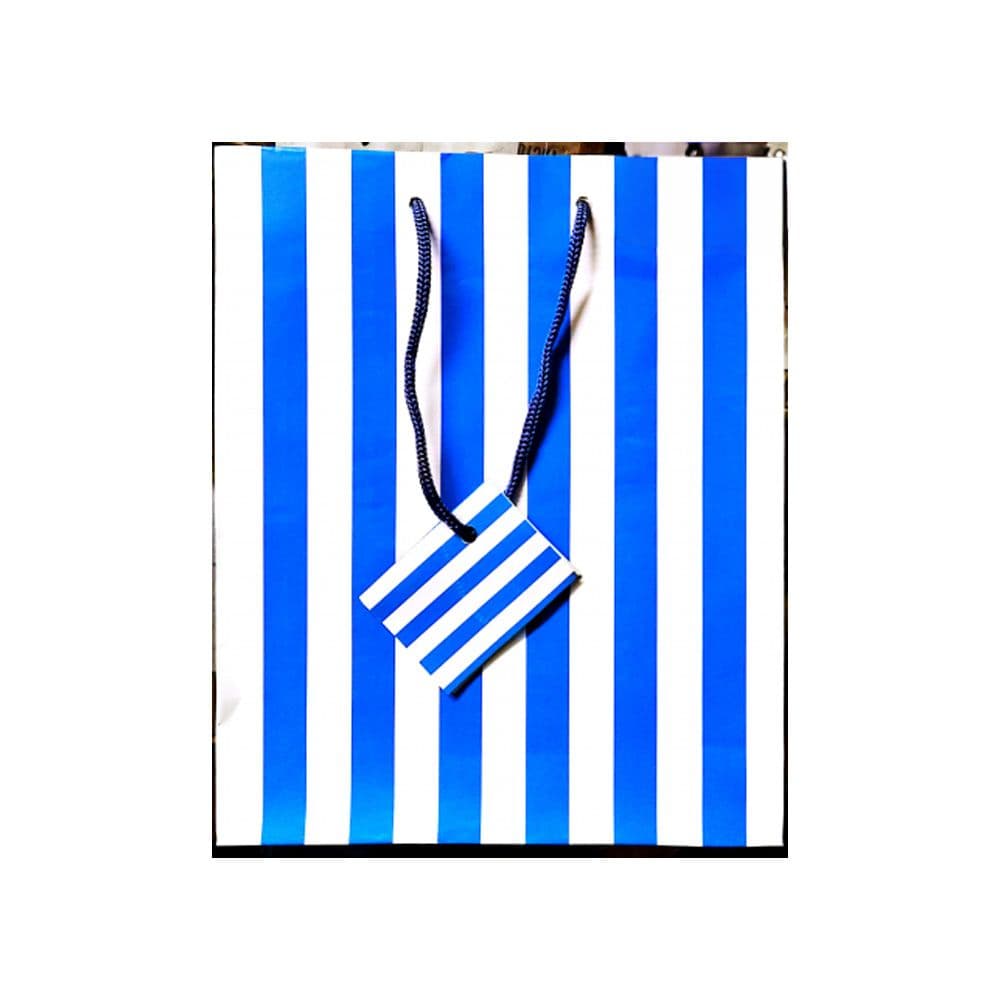 Stripe Gift Bag