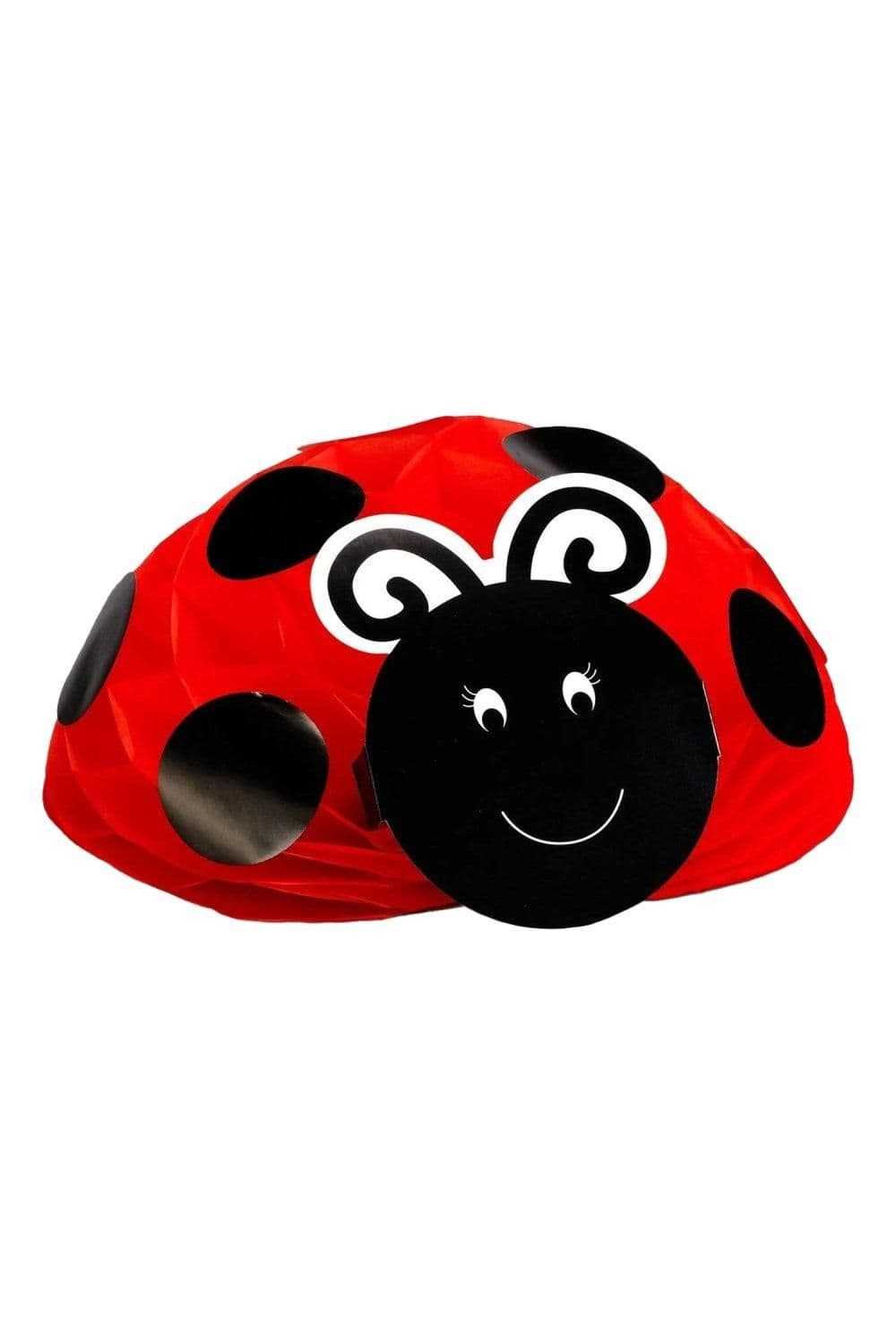 Ladybird Year Centrepiece