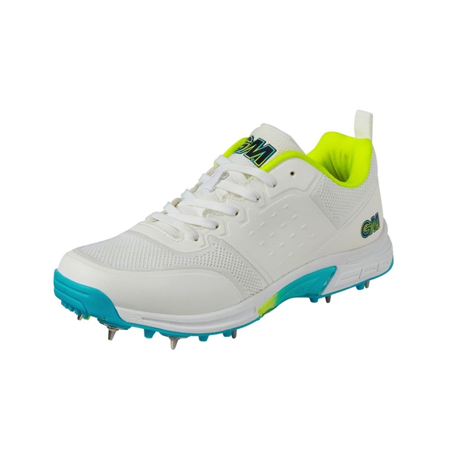 Aion Spiked Cricket Shoes