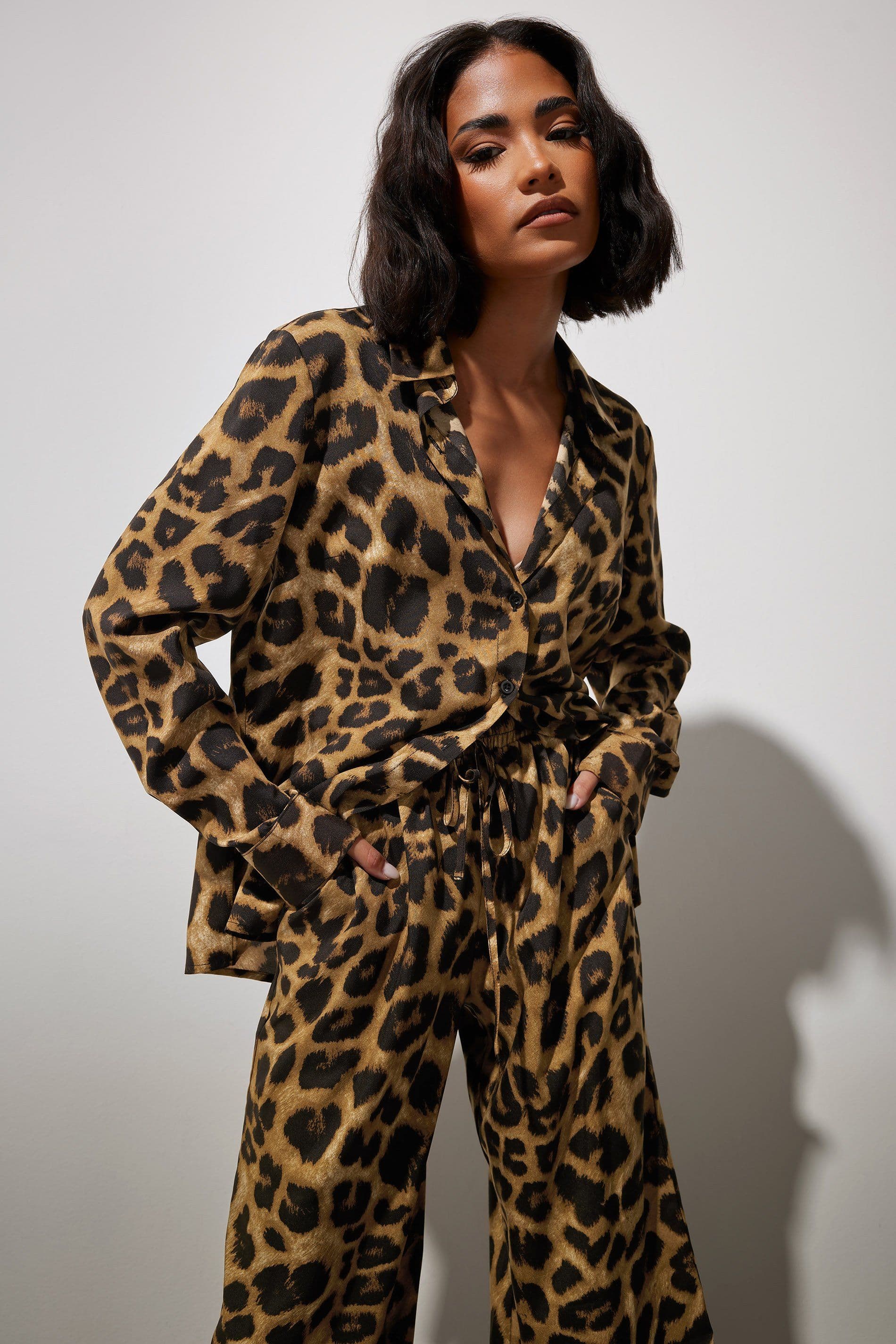 PixieGirl Women's Petite Leopard Print Long Sleeve Shirt in Brown | Size: 14