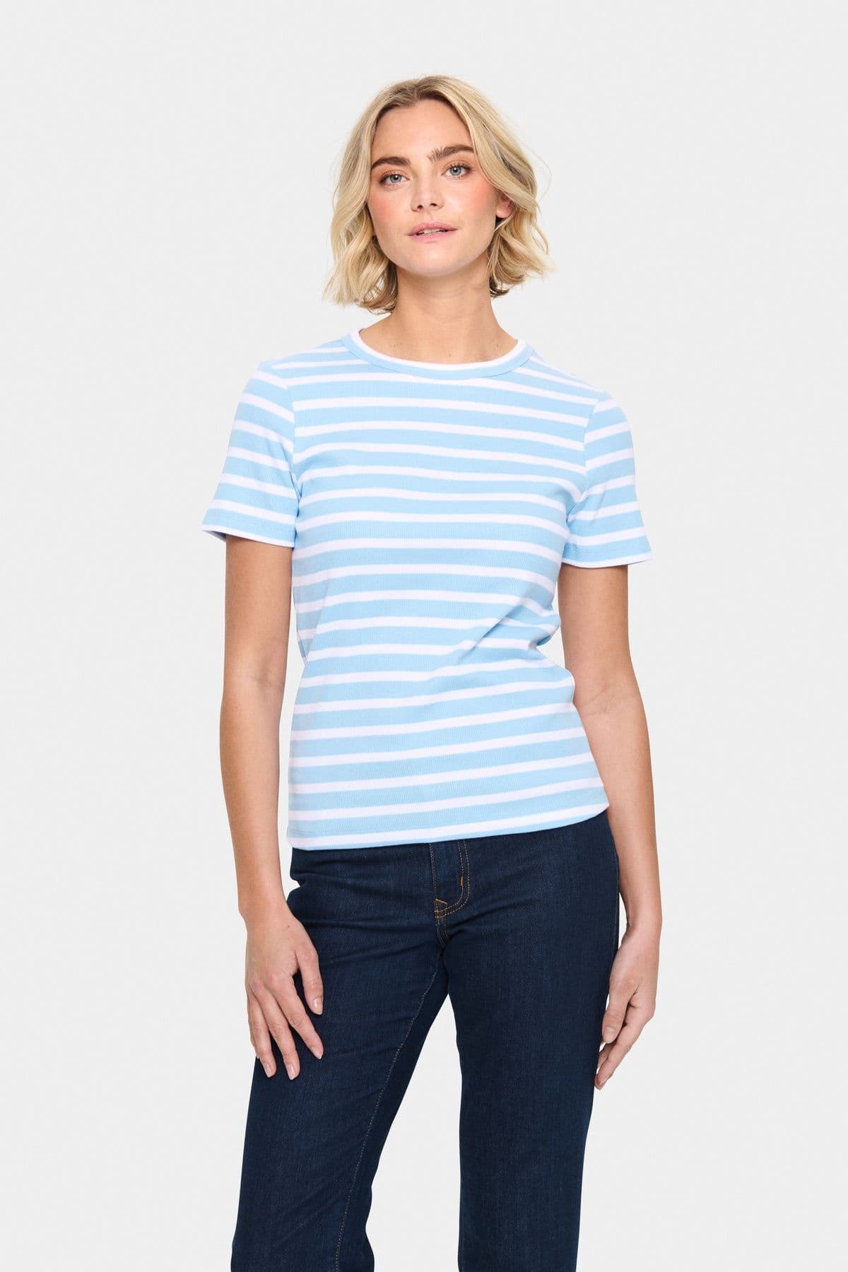 Aster Short Sleeve Striped T shirt