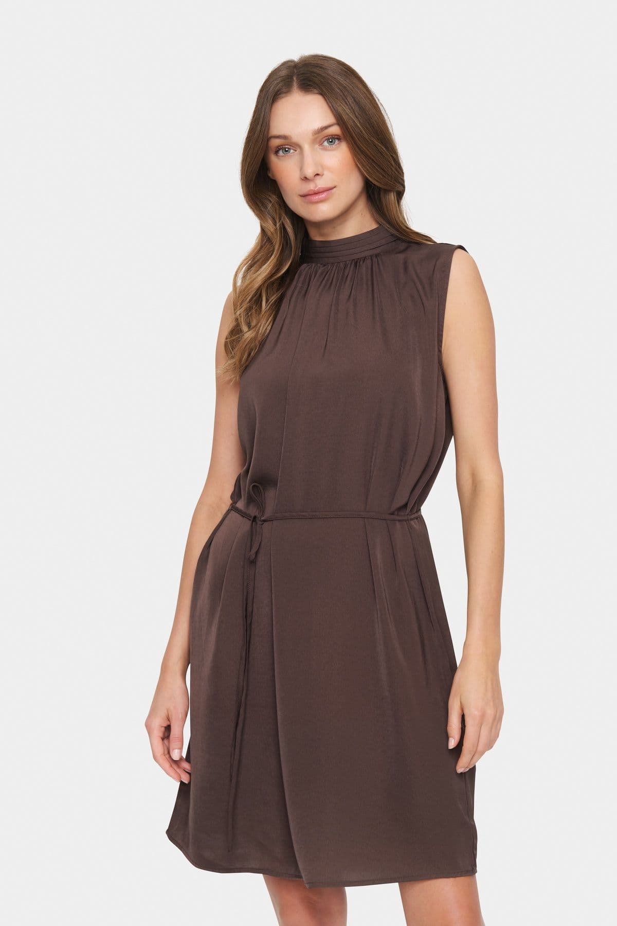 Aileen Sleeveless Above Knee Dress