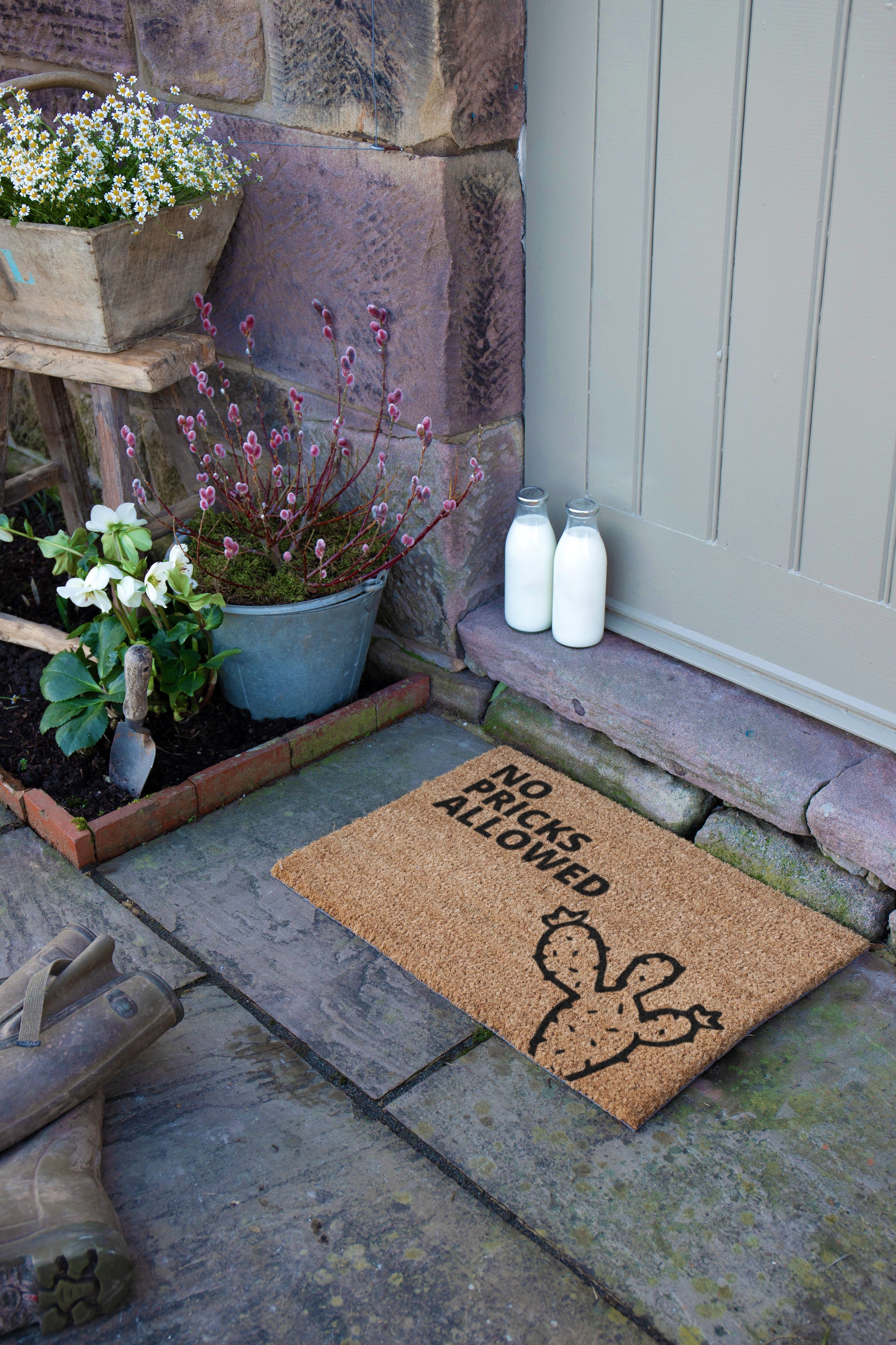 No Pricks Allowed Cactus Doormat