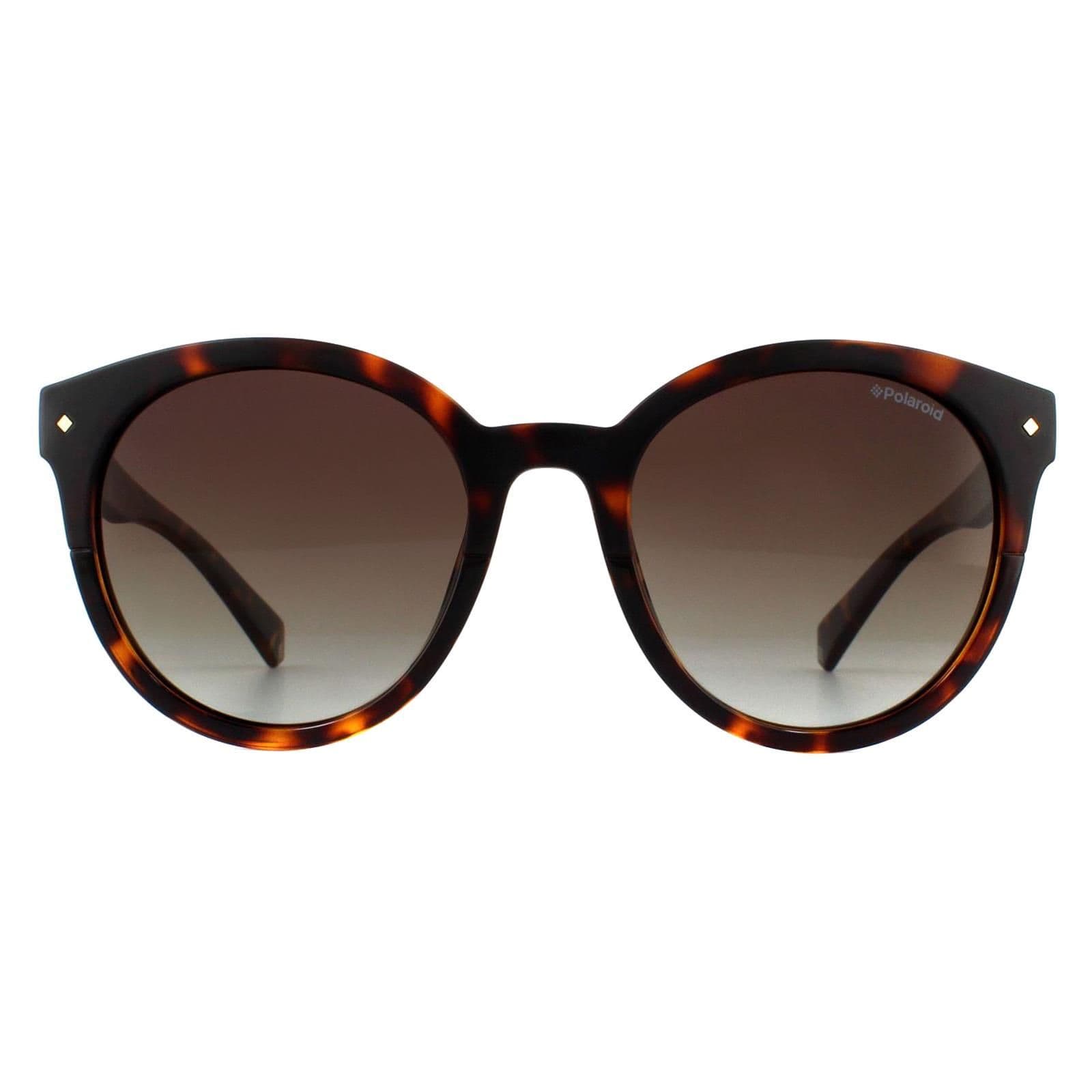 Round Dark Havana Brown Gradient Polarized Sunglasses
