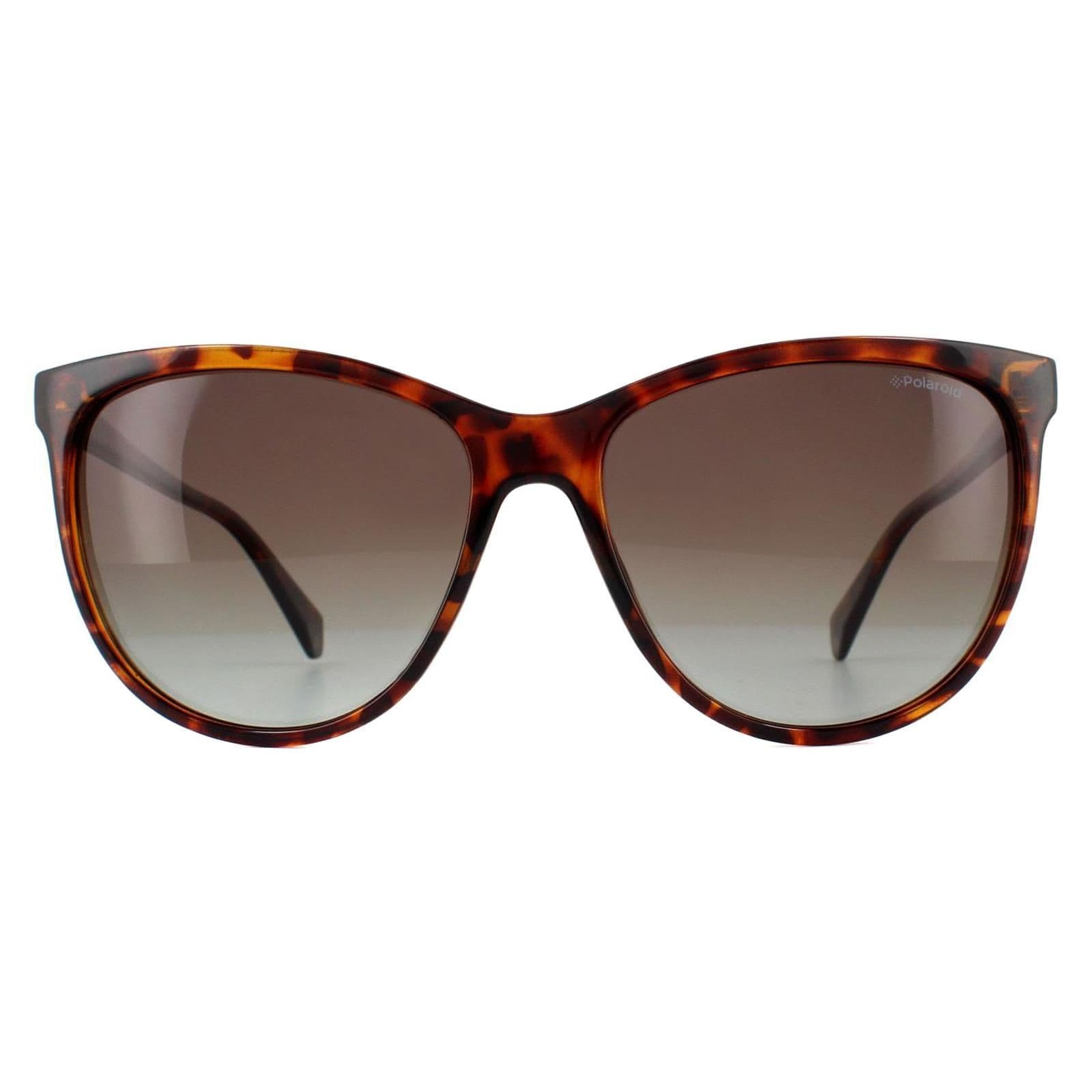 Square Dark Havana Brown Polarized Sunglasses