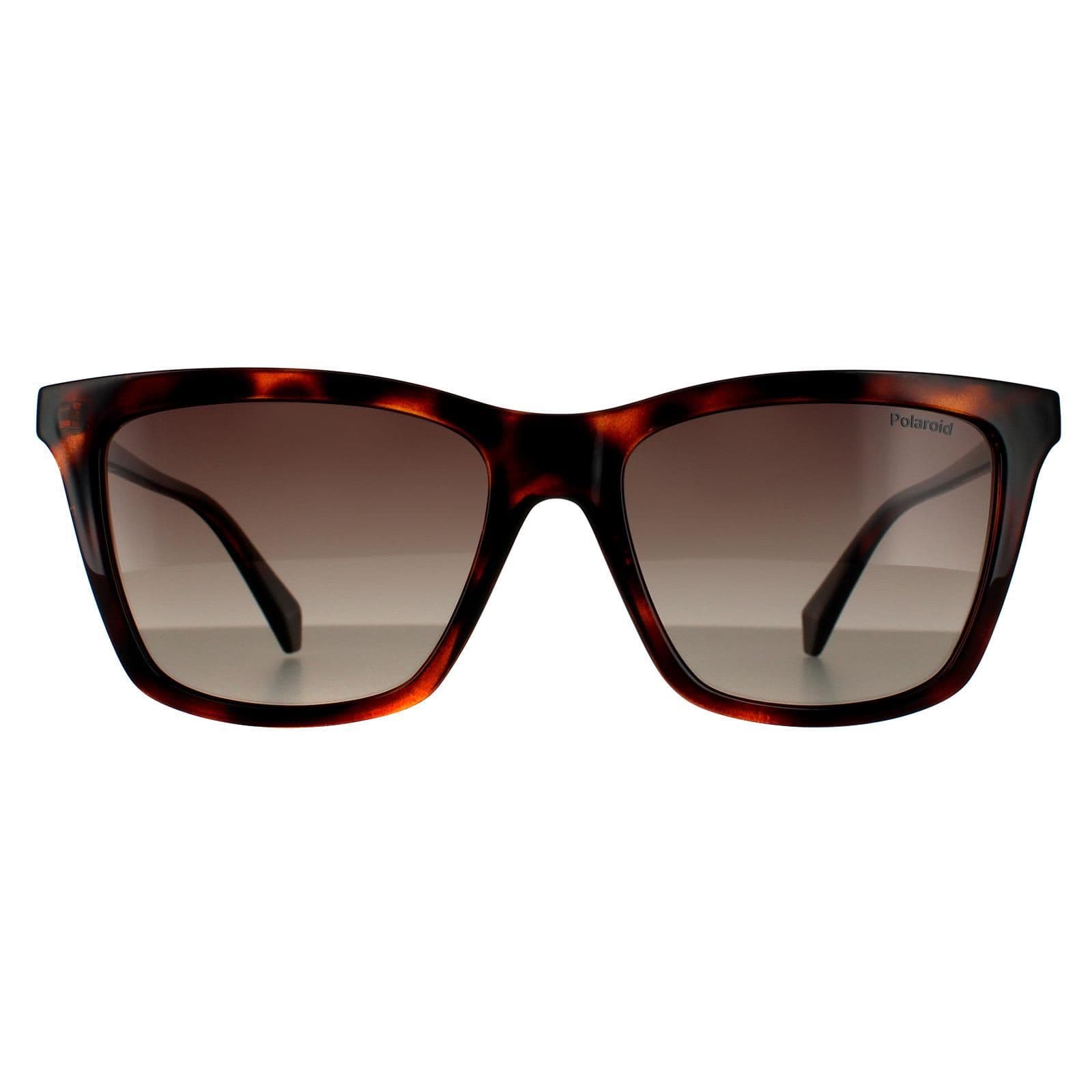 Square Havana Brown Gradient Polarized 90041091