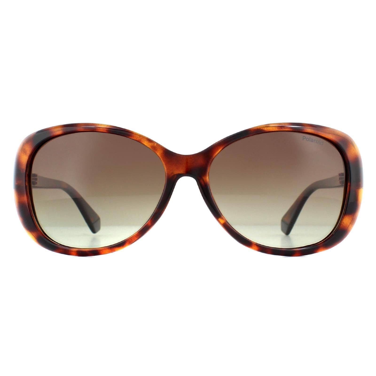 Fashion Havana Brown Gradient Polarized Sunglasses