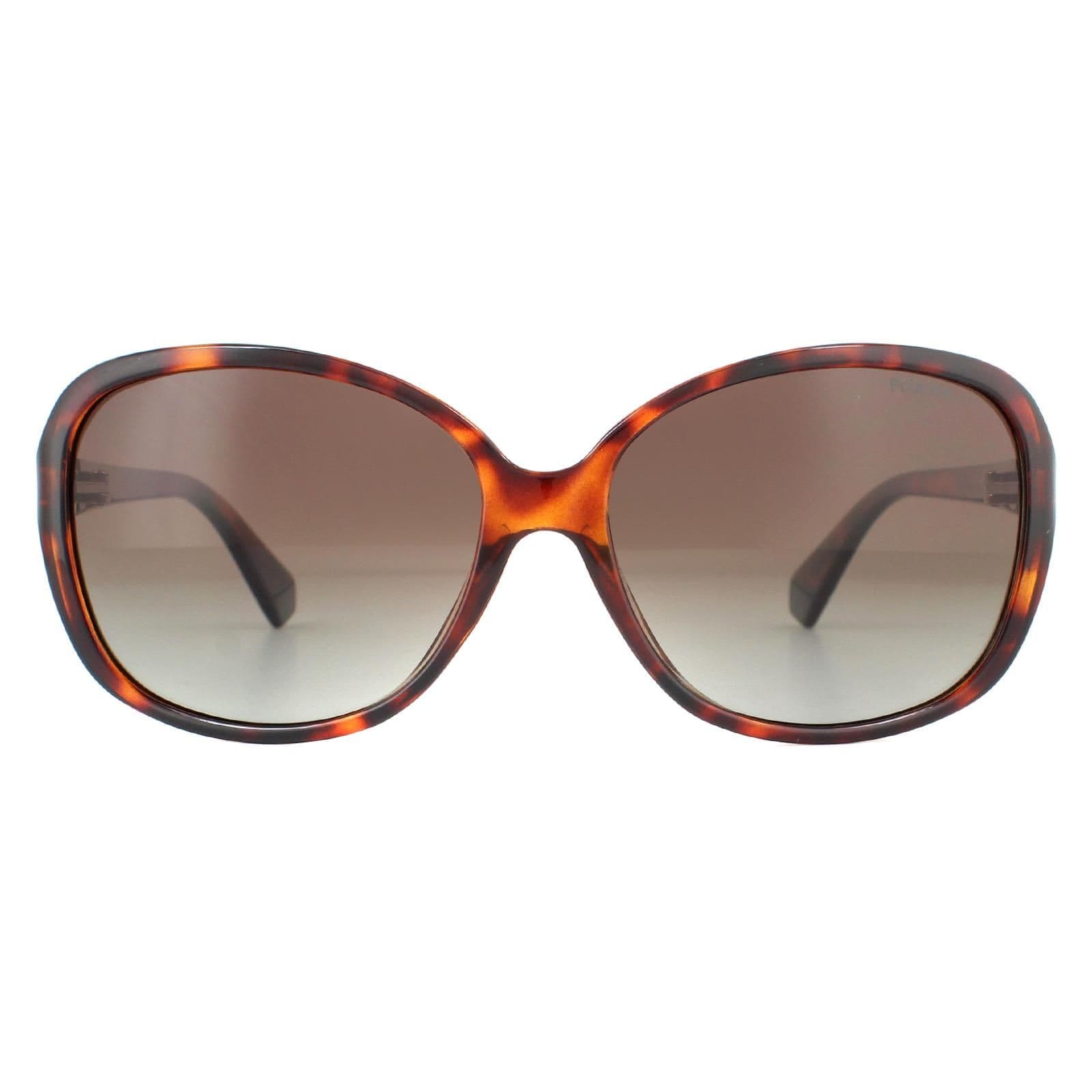 Fashion Dark Havana Brown Gradient Polarised Sunglasses