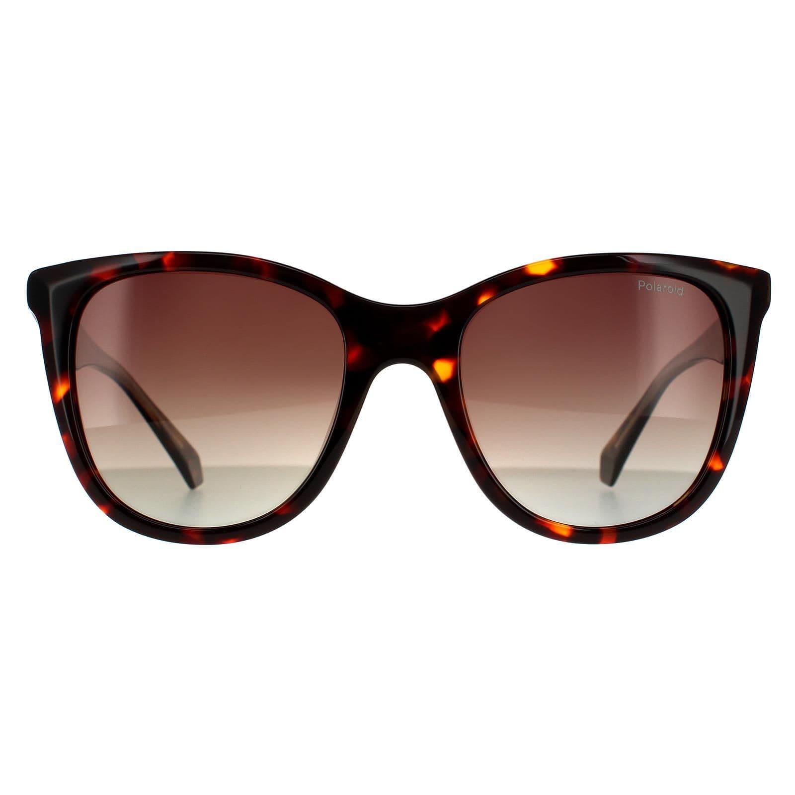 Square Havana Brown  Brown Gradient Polarized