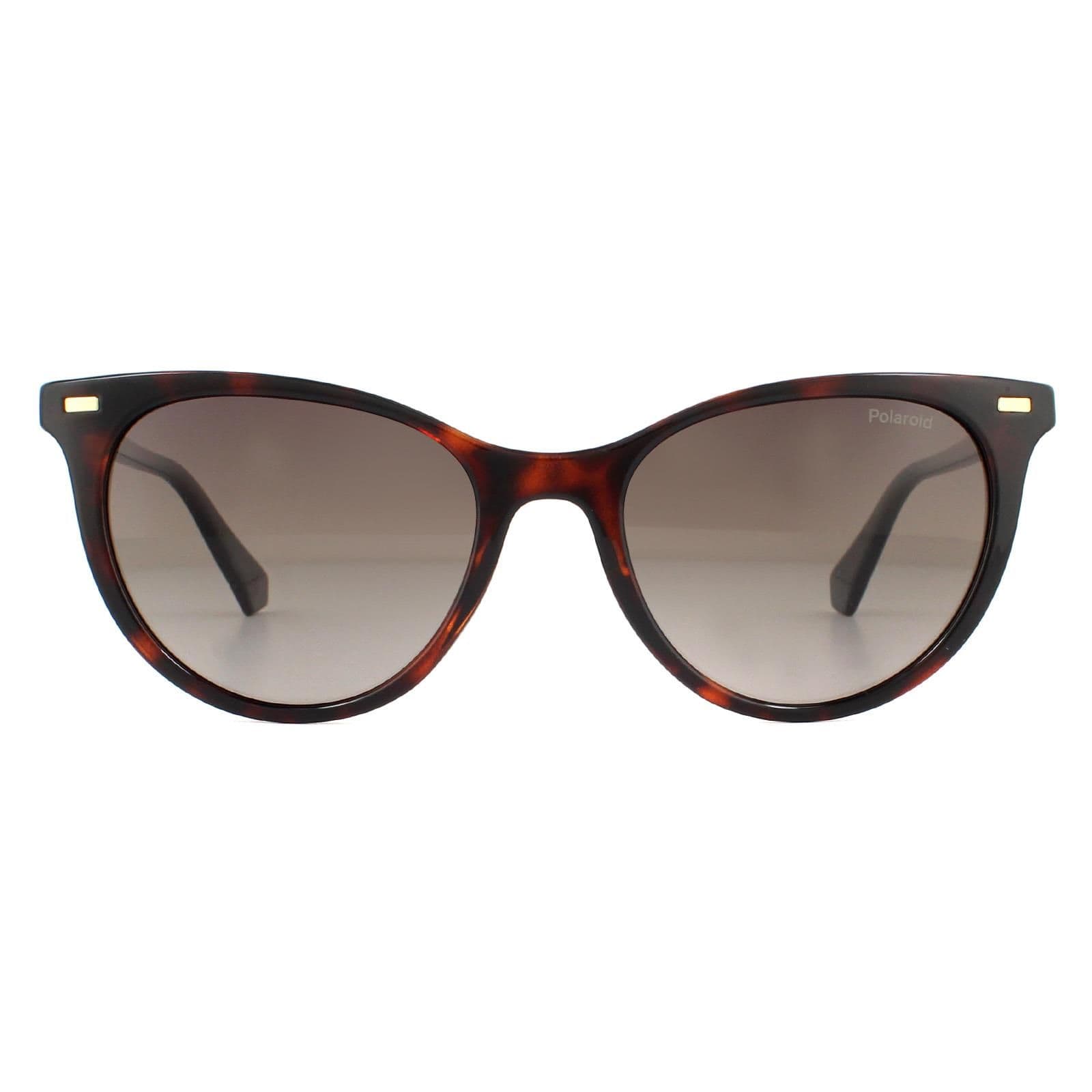 Cat Eye Havana Brown Gradient Polarized Sunglasses