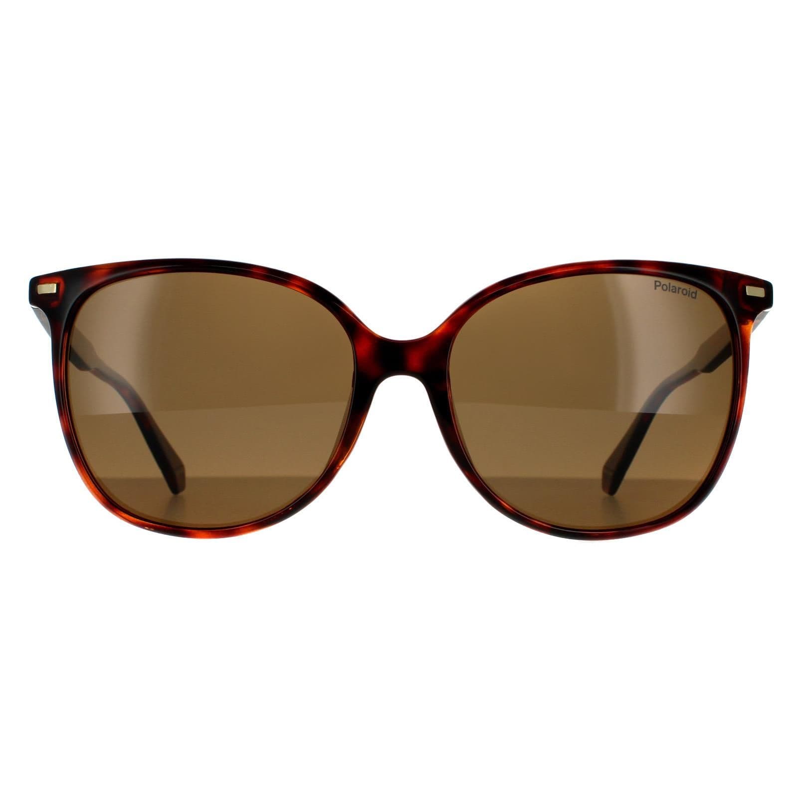 Cat Eye Dark Havana Bronze Polarized Sunglasses