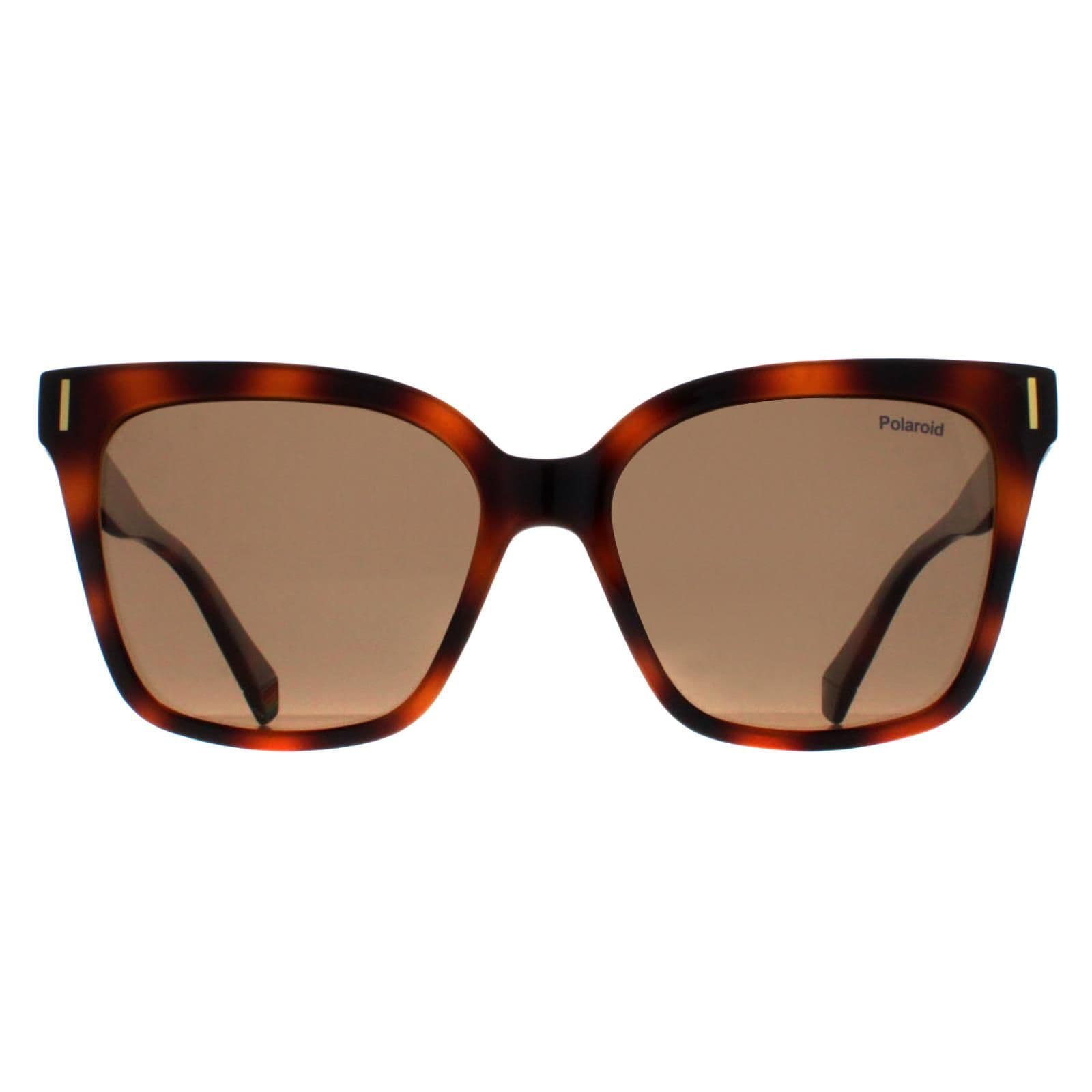 Cat Eye Havana Bronze Polarized PLD 6192/S