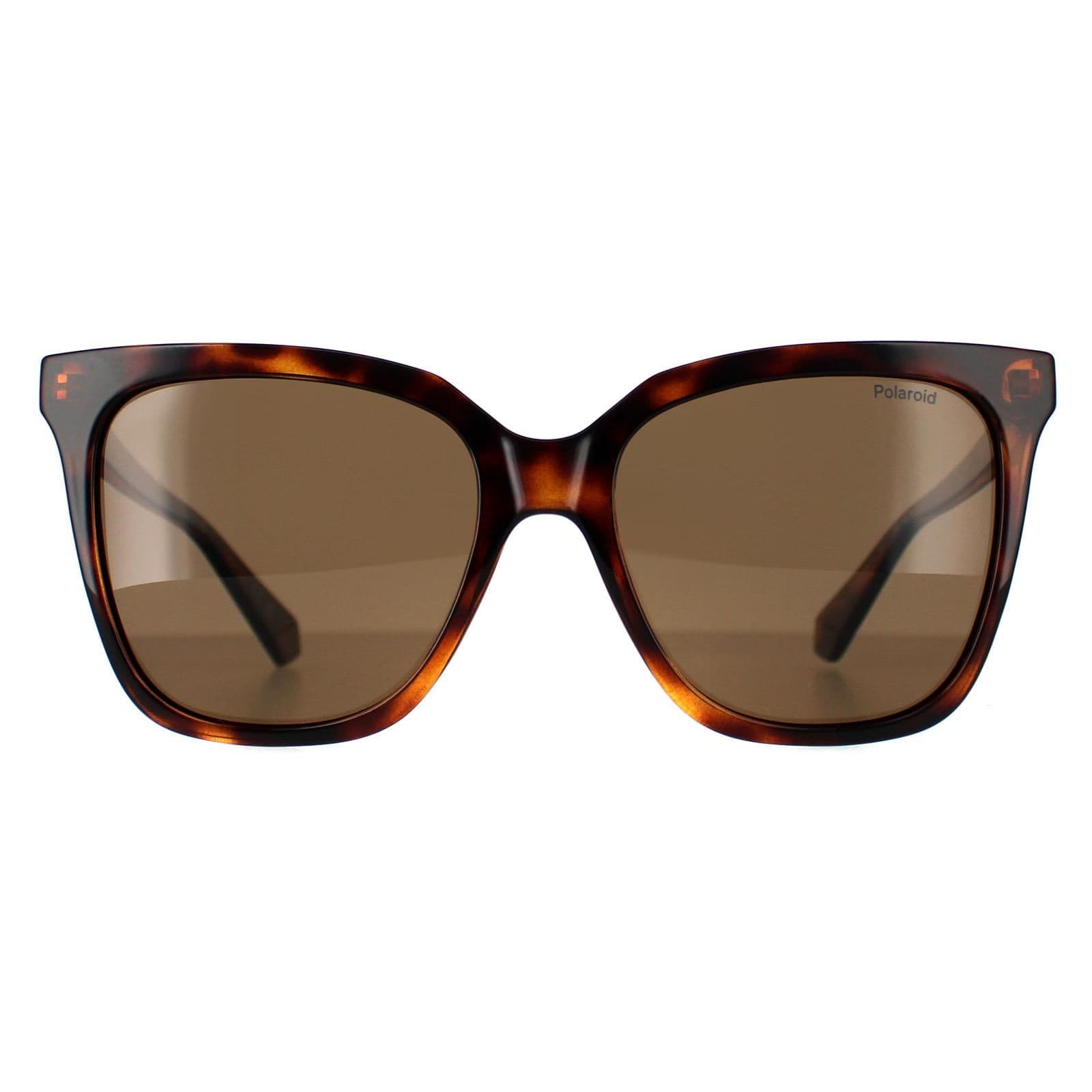 Square Havana Bronze Polarized PLD 4155/S/X