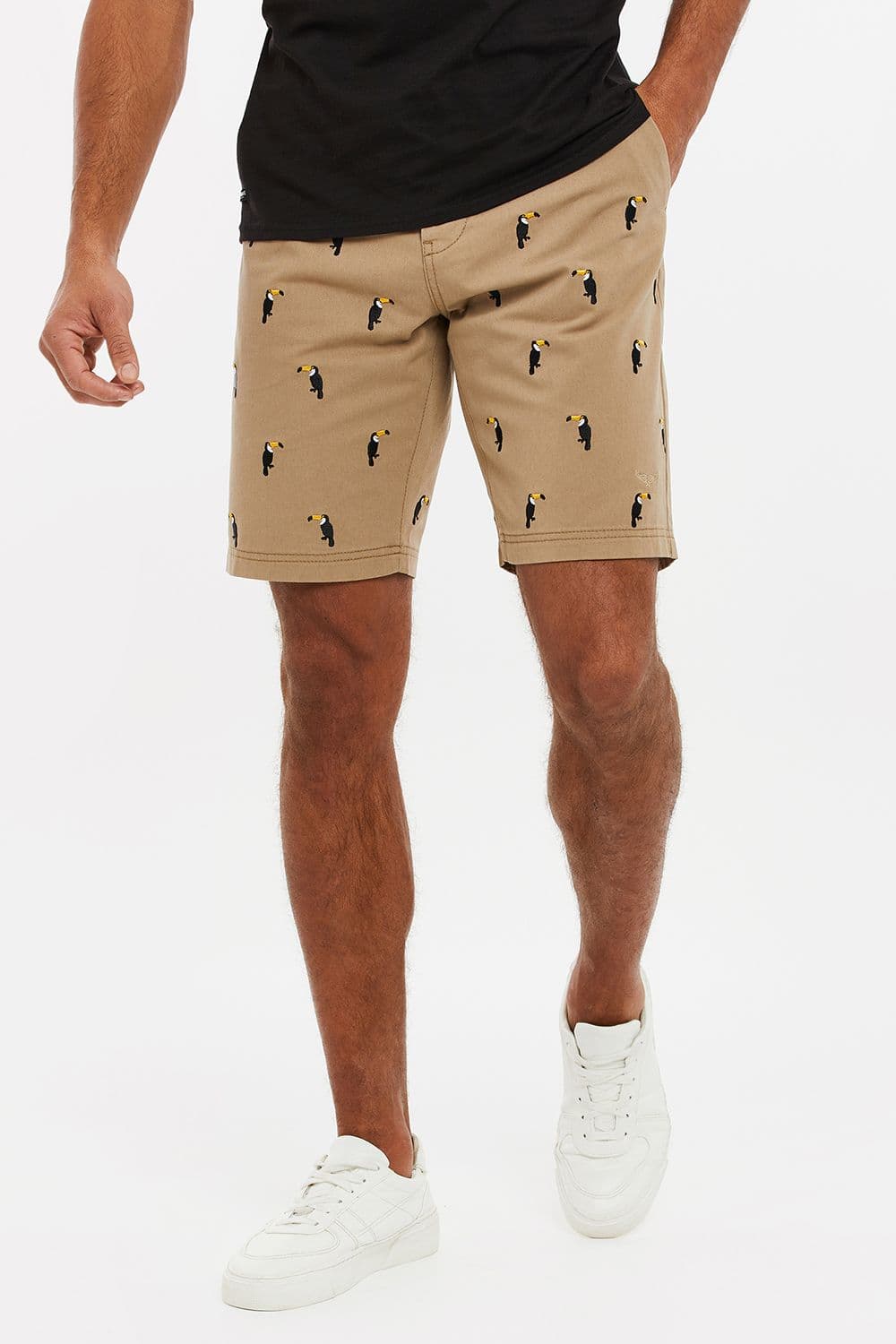 Cotton Tropez Embroidered Chino Shorts
