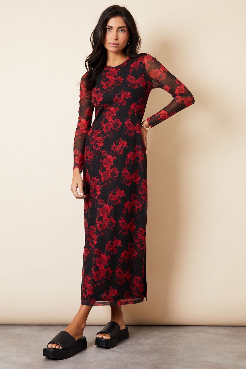 Blooming Printed Long Sleeve Mesh Midi Dress