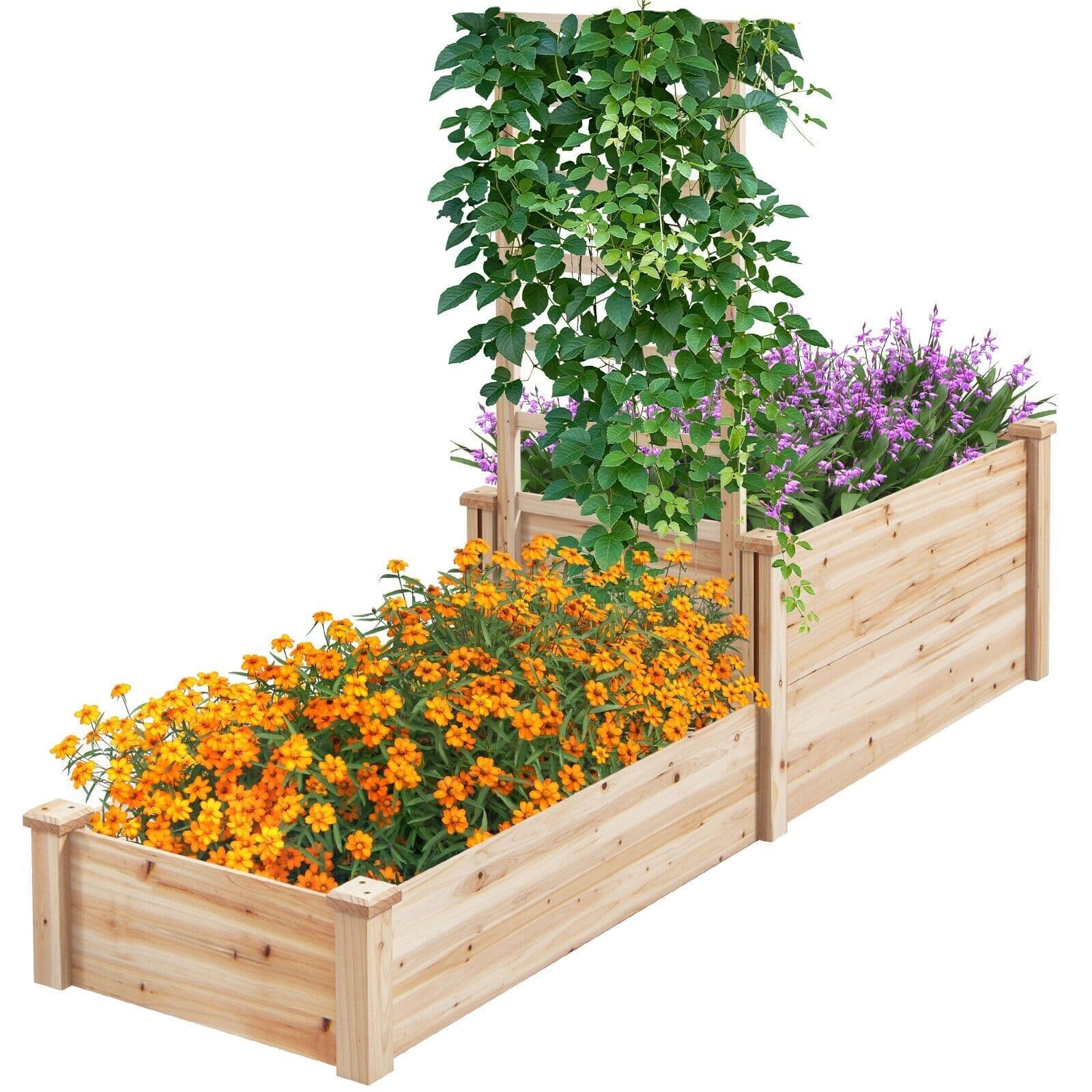 Raised Garden Bed Open Base Wooden Elevated Planter W Trellis & 2 Compartments