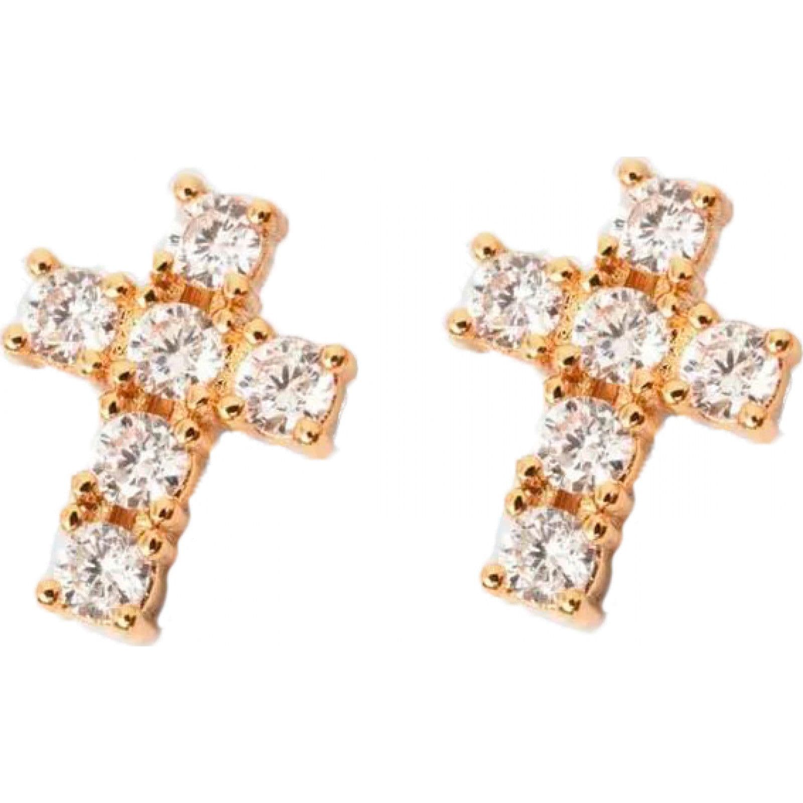 J19AWC13 Pair Earrings