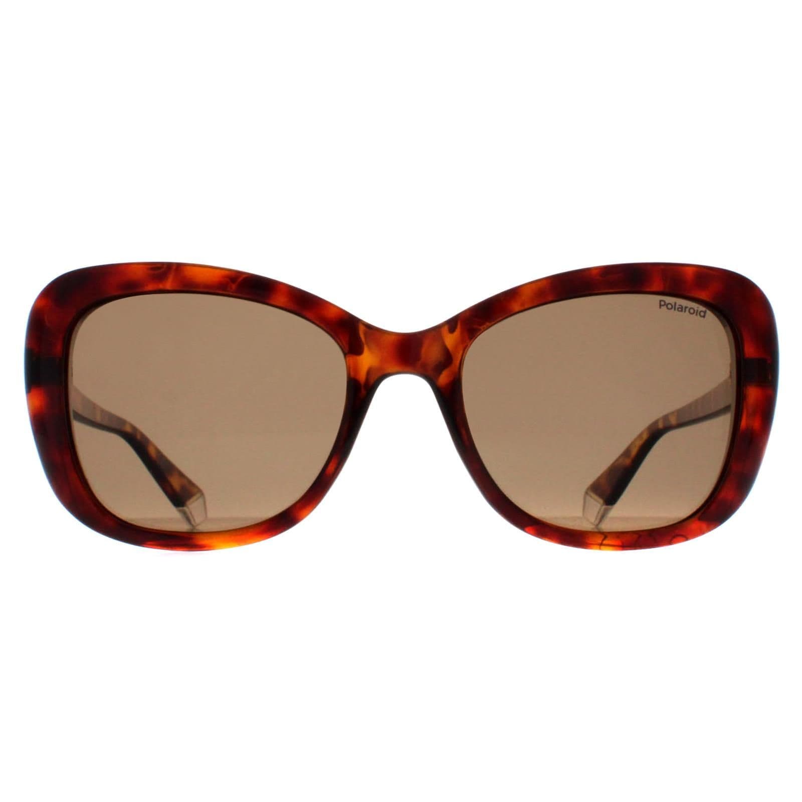 Butterfly Havana Bronze Polarized PLD 4132/S