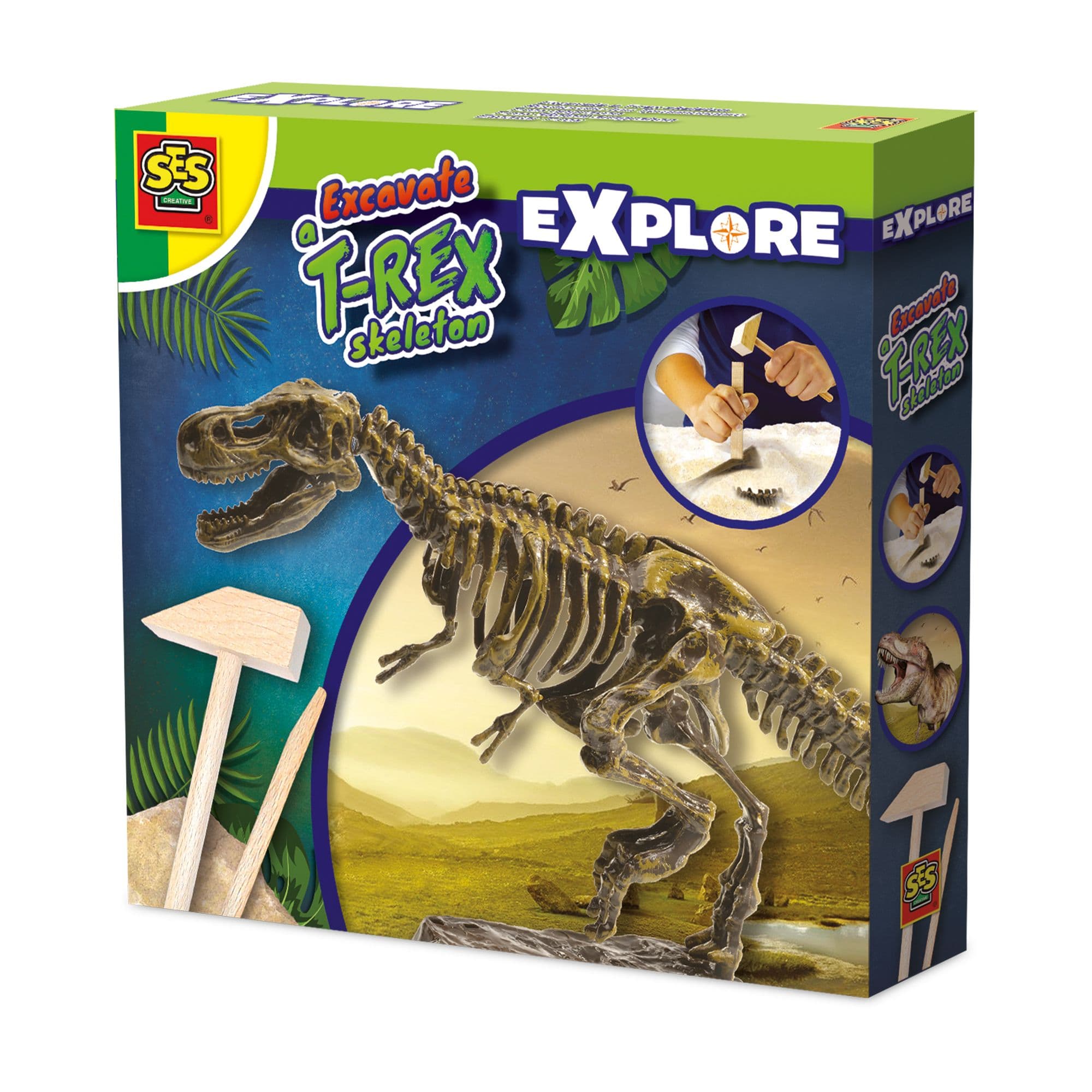 Excavate T Rex Skeleton