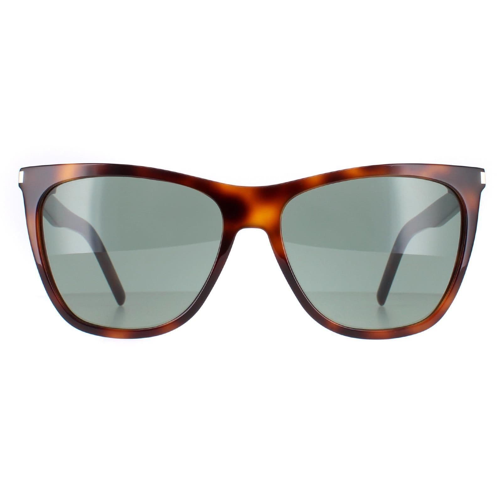 Square Shiny Medium Havana Solid SL 526