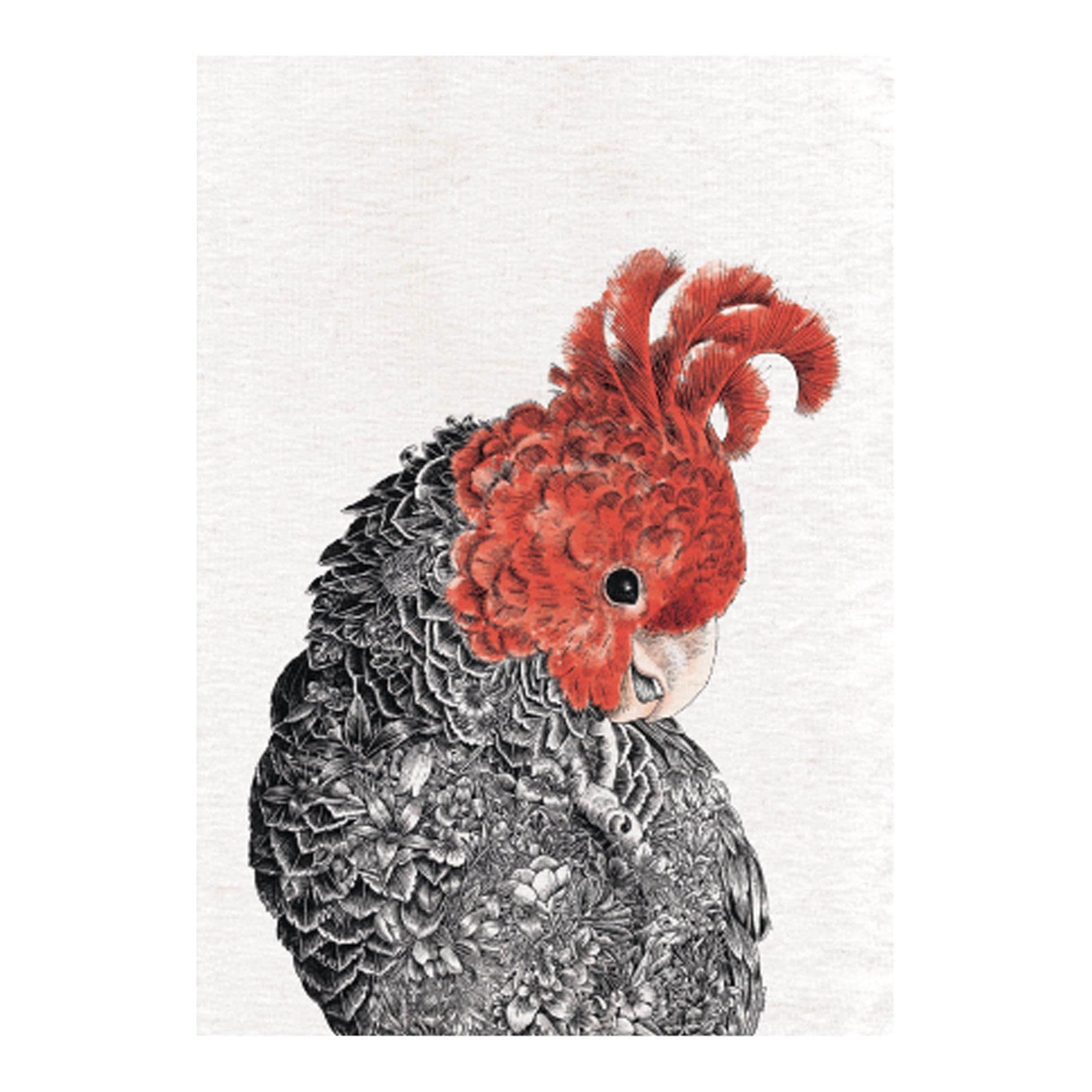 Marini Ferlazzo Gang Gang Cockatoo Tea Towel
