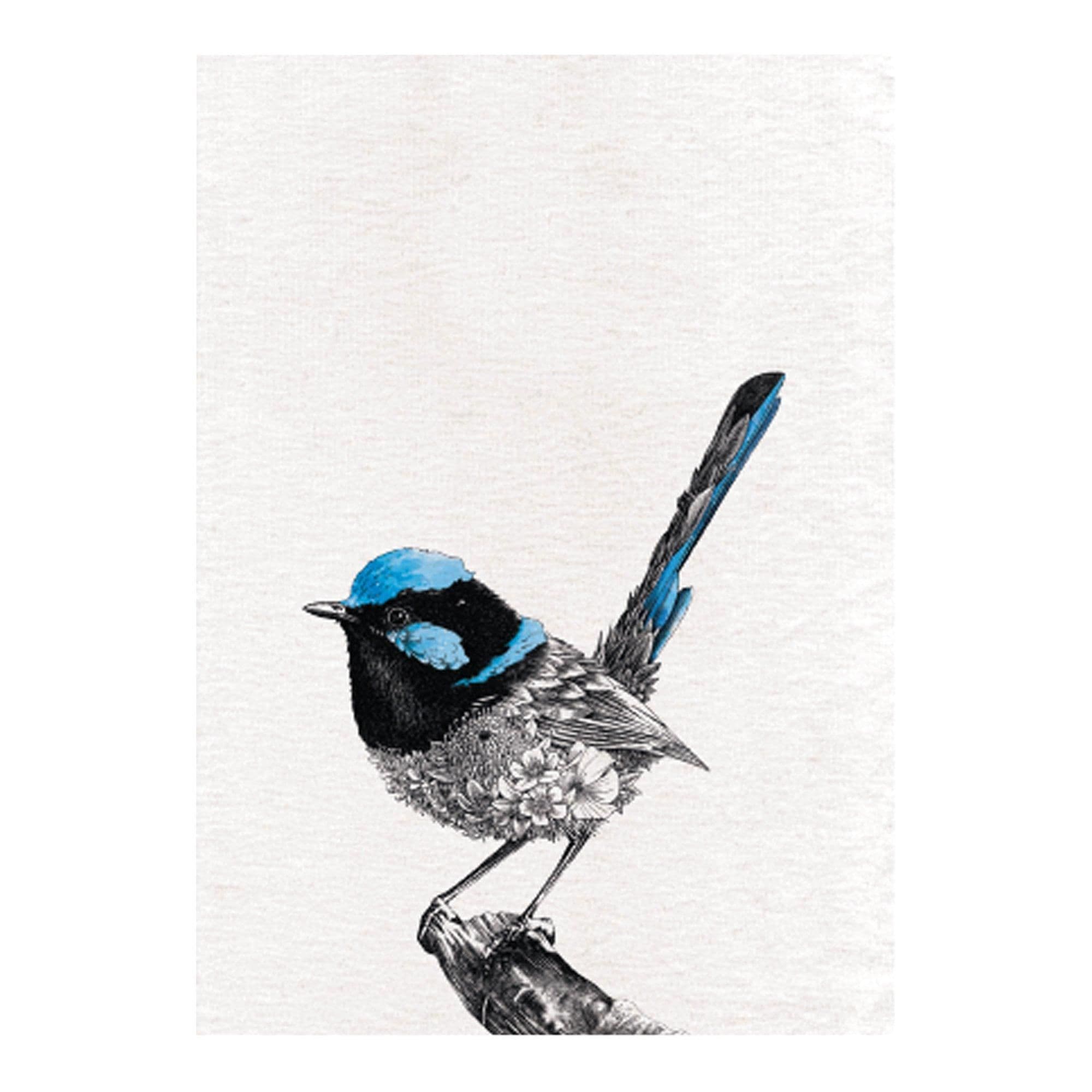Marini Ferlazzo Superb Fairy wren Tea Towel